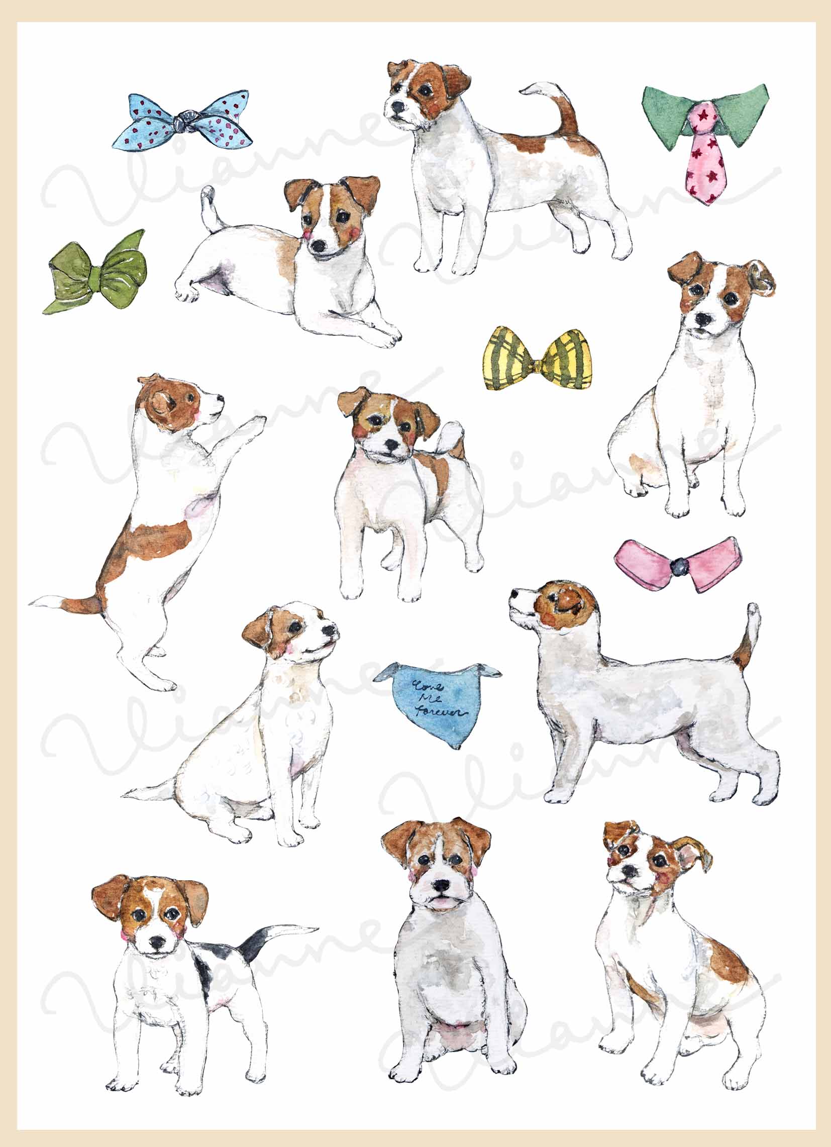 Jack Russell Terrier Clipart Set
