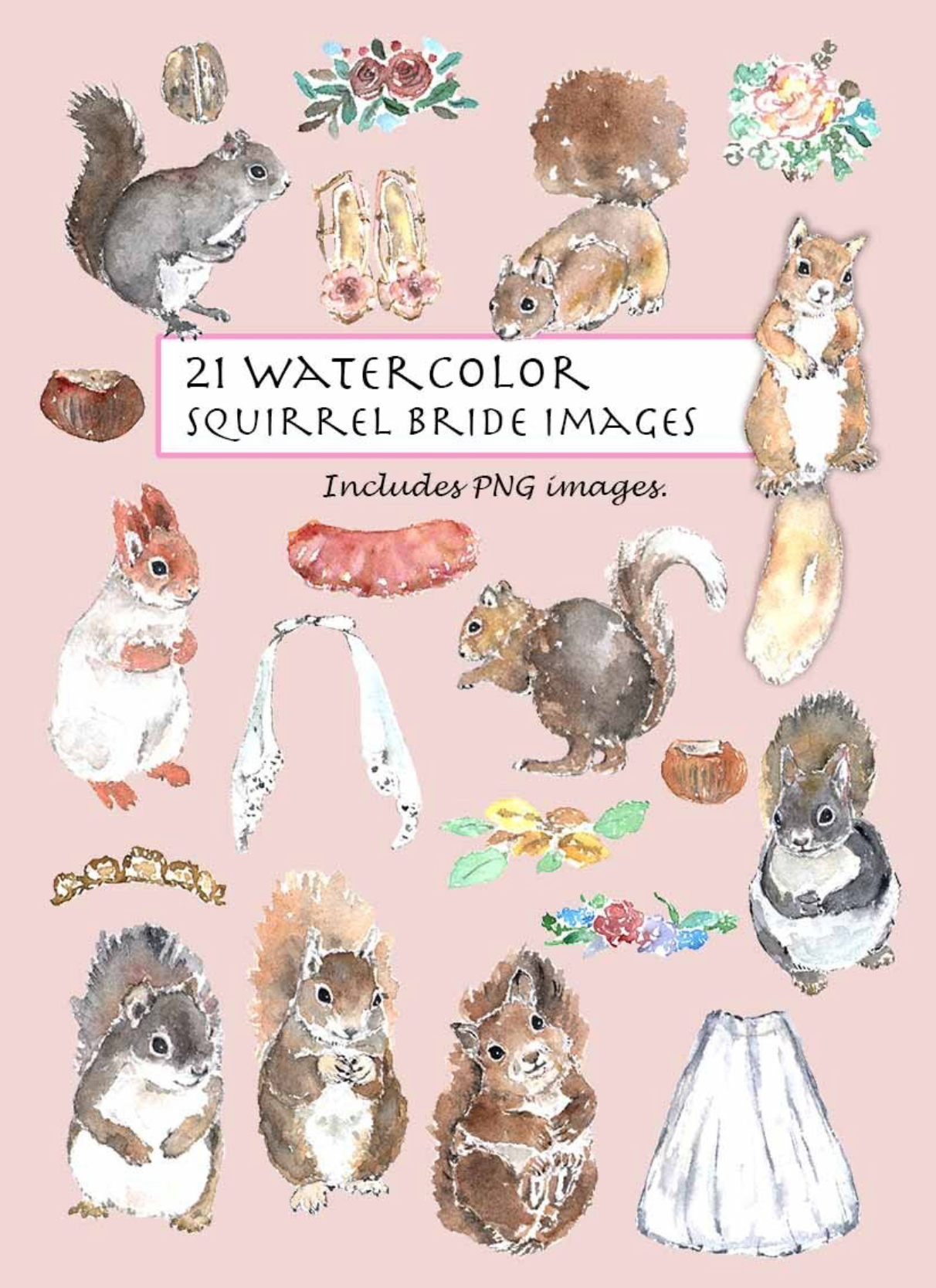 Squirrel Bride Clipart Set