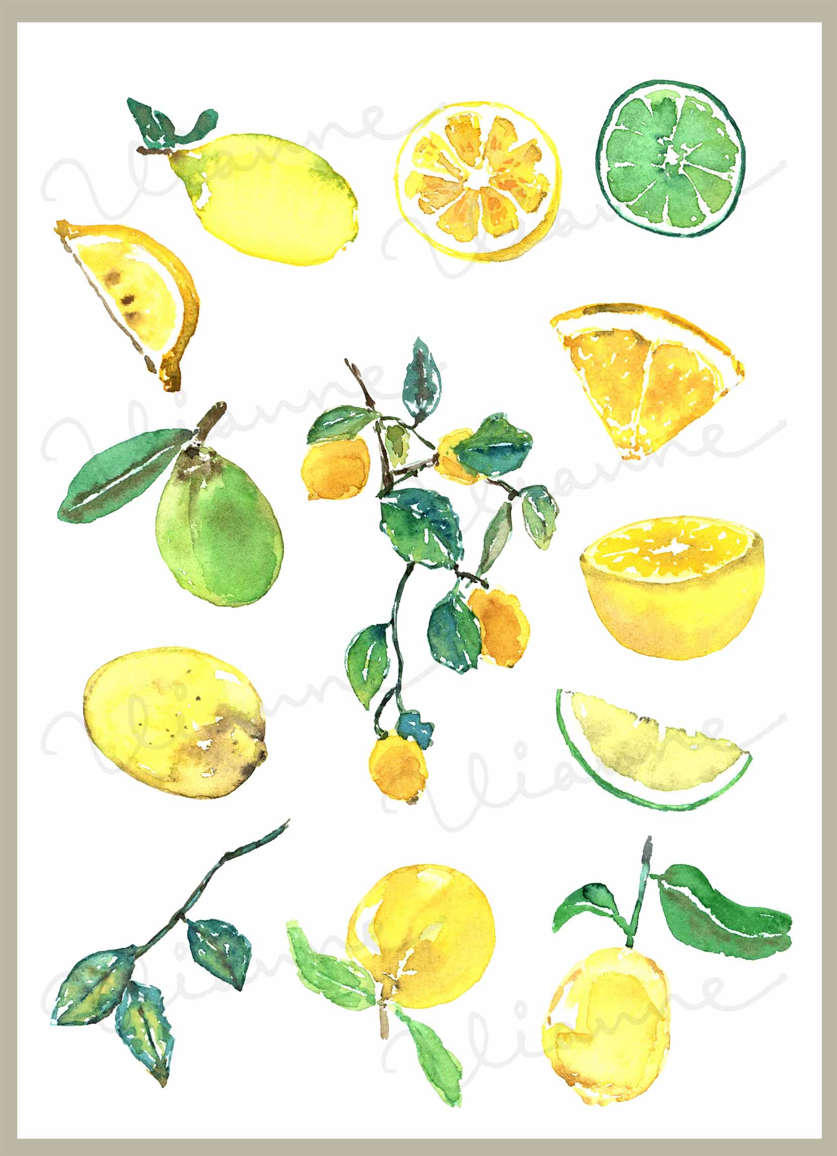 Lemon Clipart Set