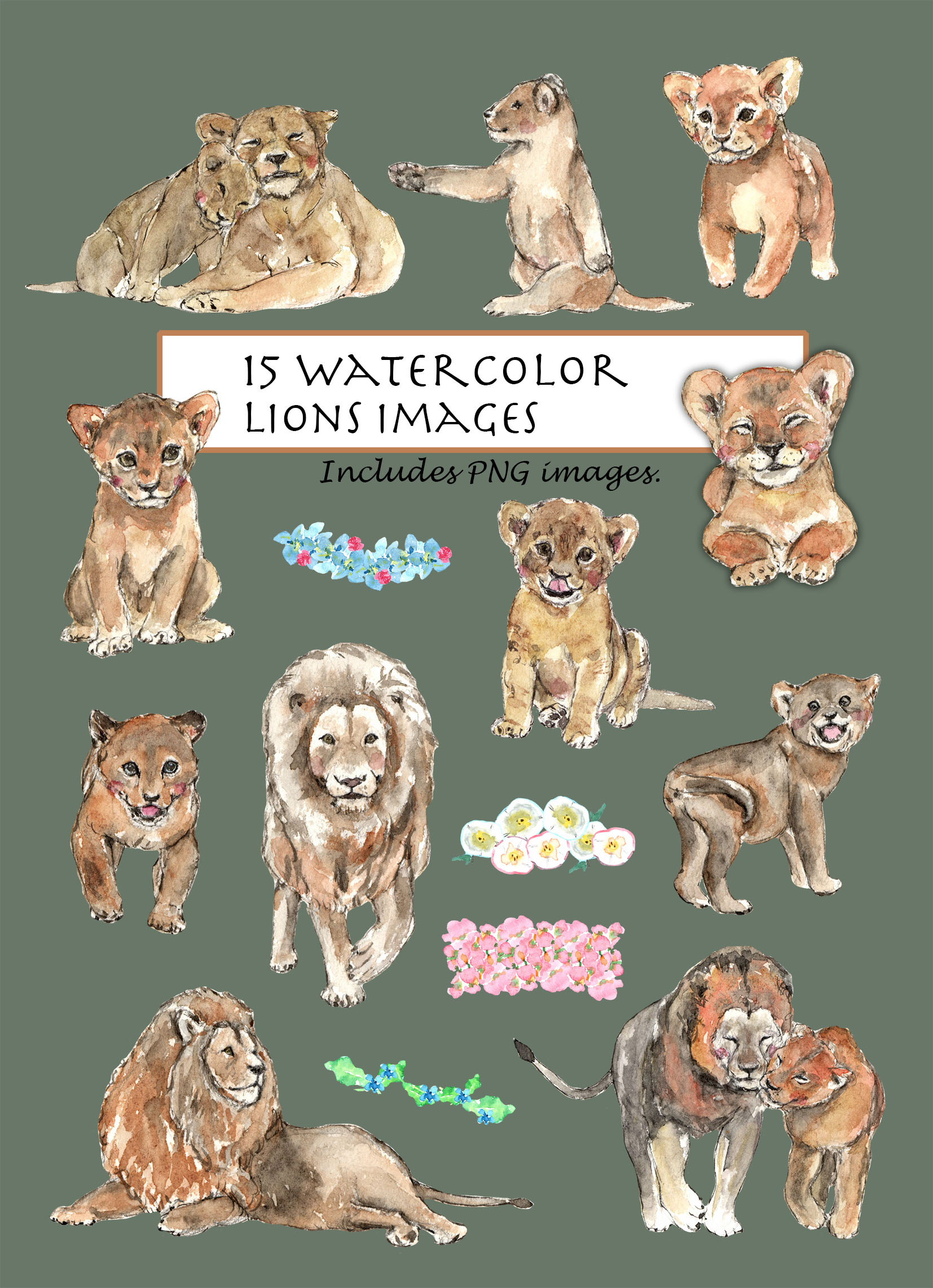 Lions Clipart Set