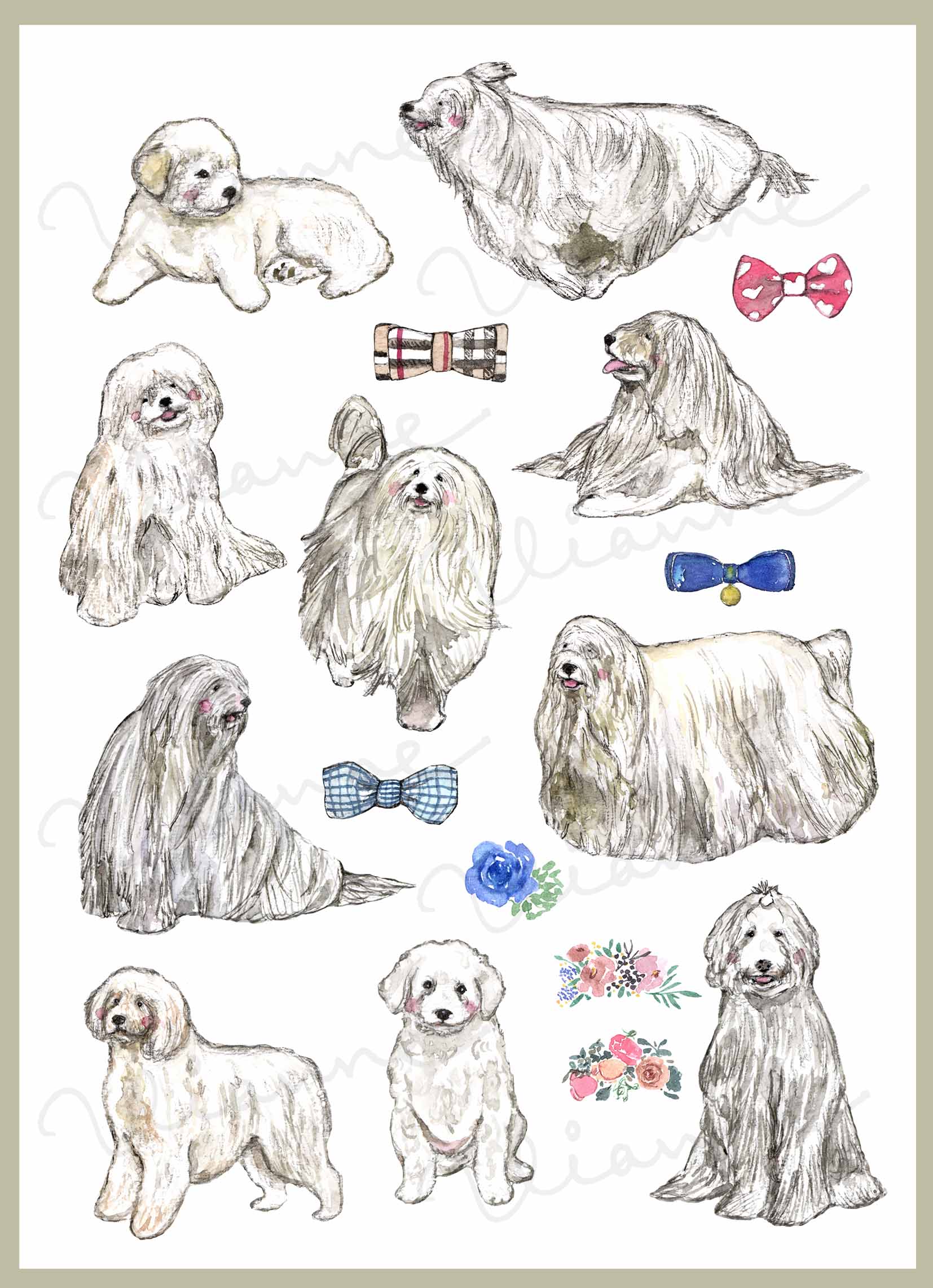 Komondor Clipart Set