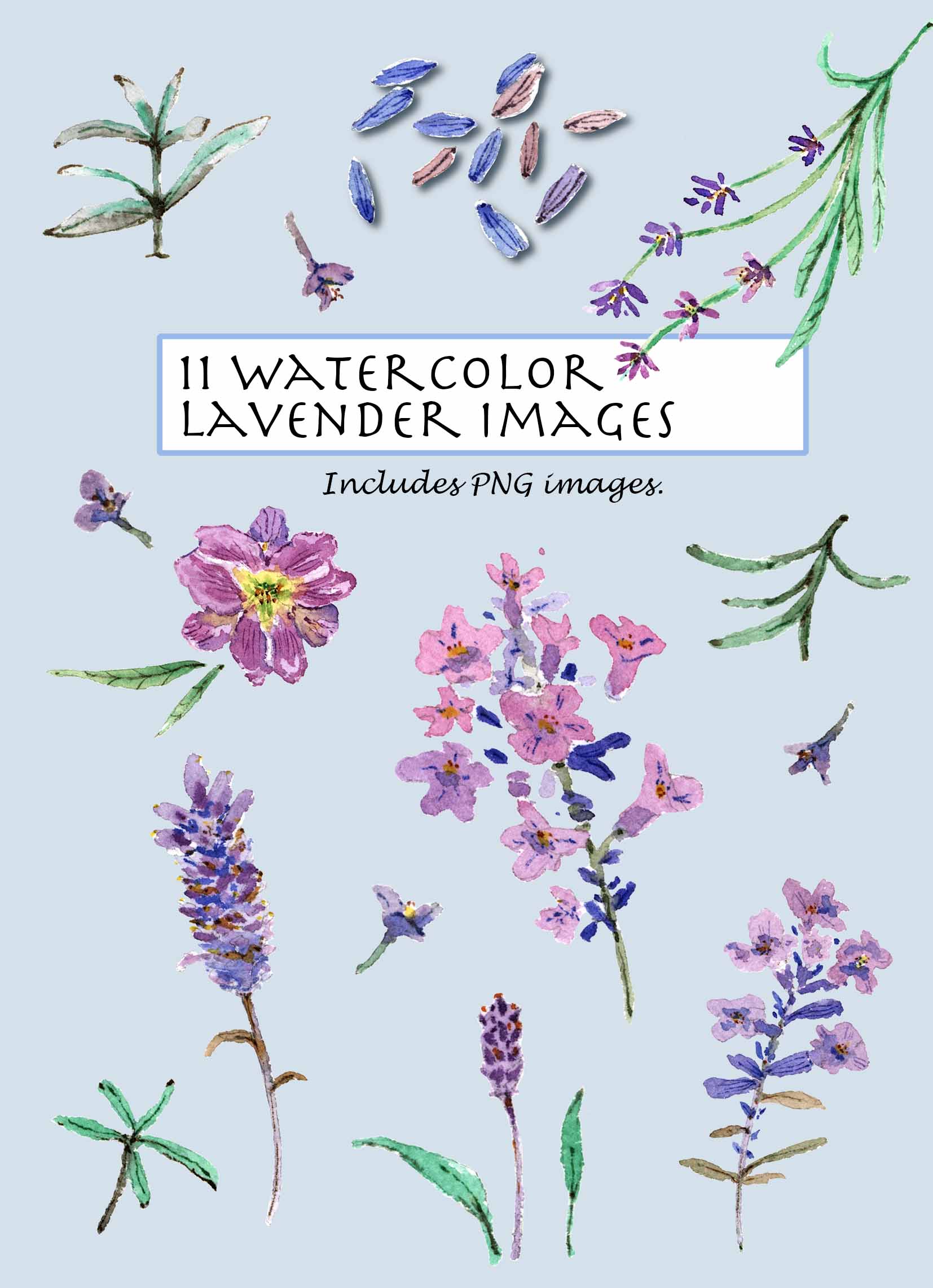 Lavender Clipart Set