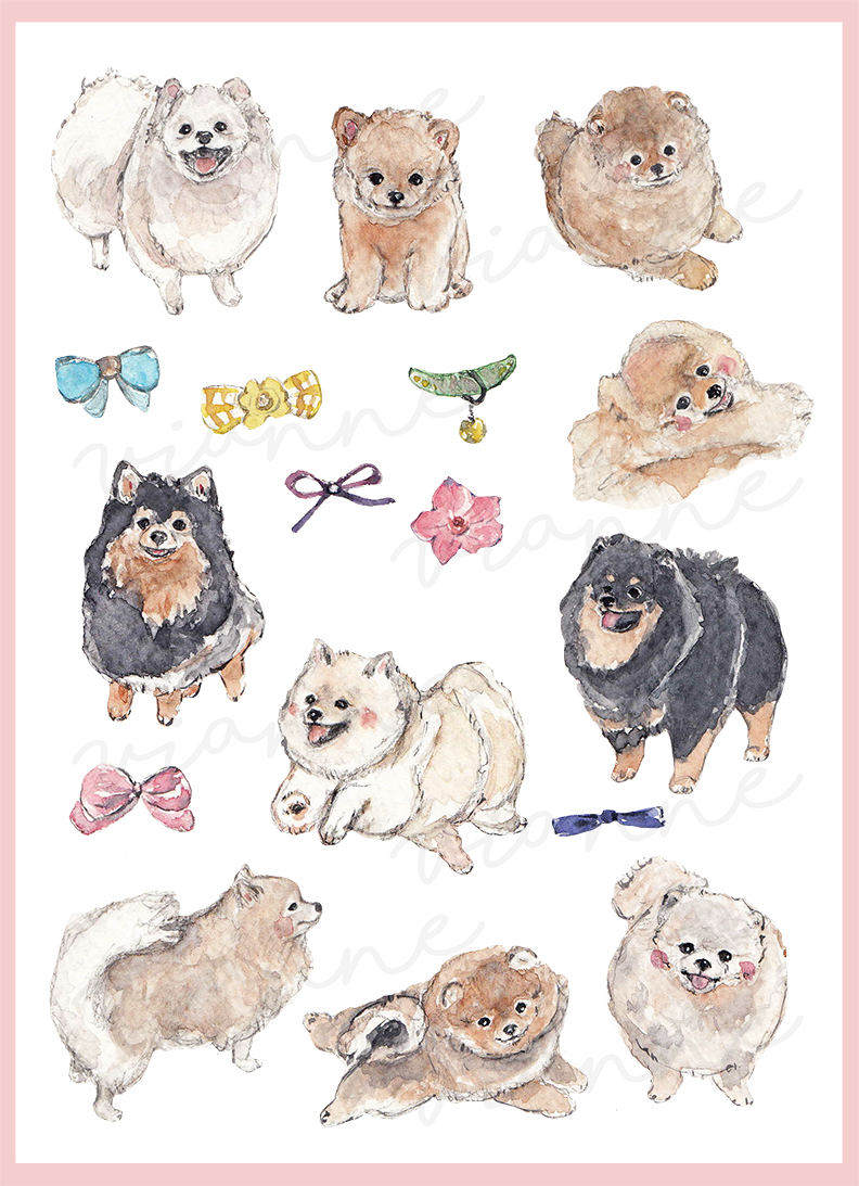 Pomeranian Clipart Set