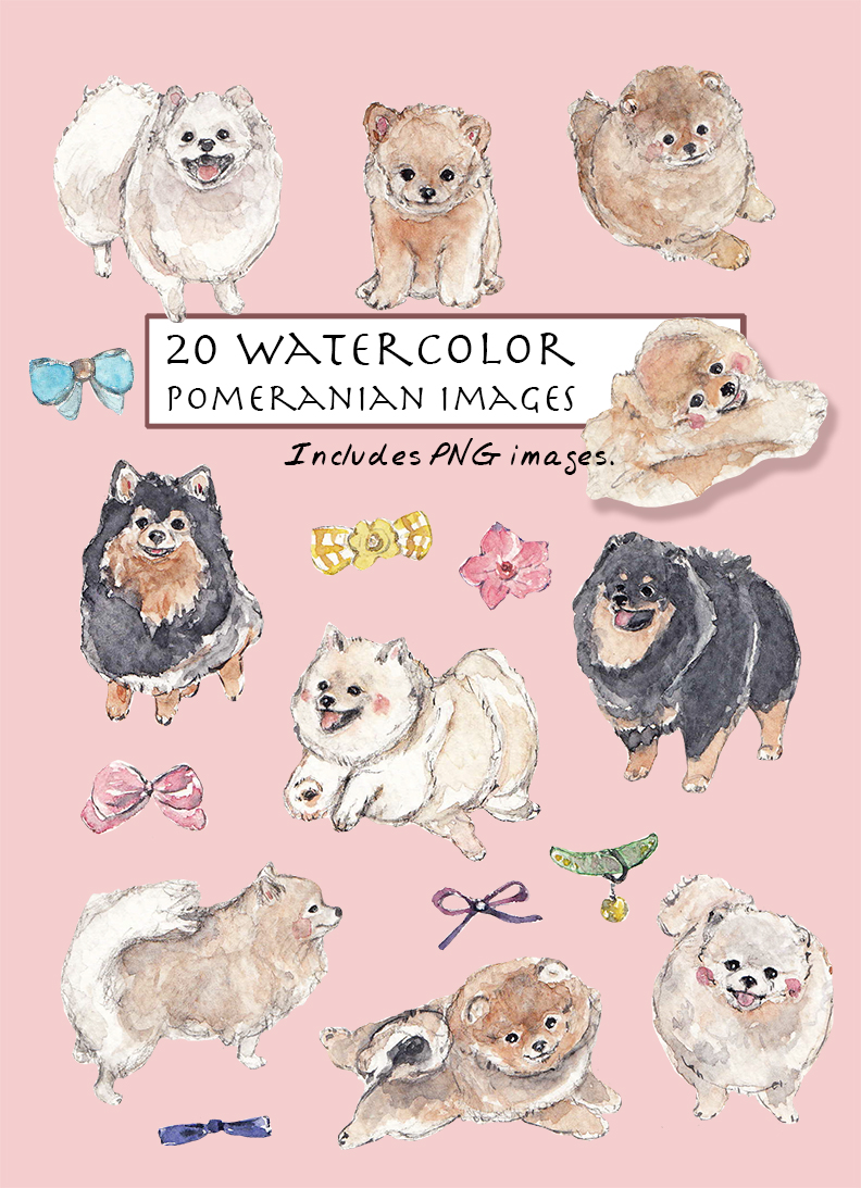 Pomeranian Clipart Set