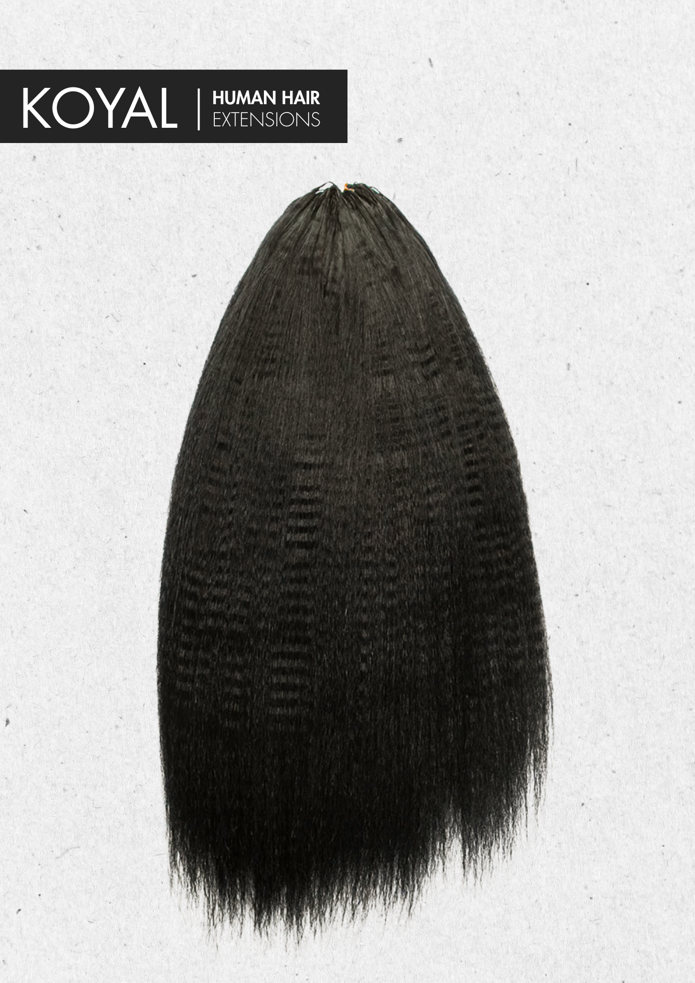 The BLOWOUT