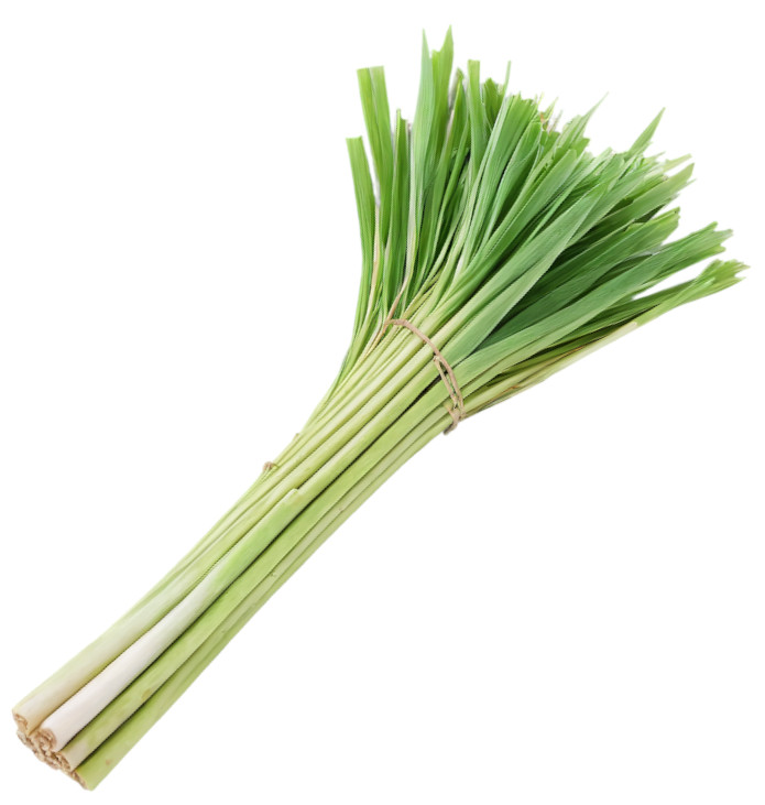 Natürliches Blütenwasser ZitronengrasHydrolat. 100 ML.