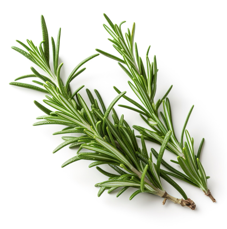 Natürliches Blütenwasser RosmarinHydrolat. 100 ML.