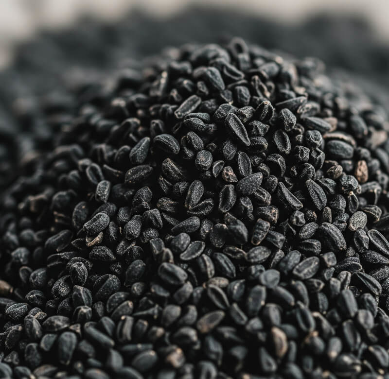 Schwarzkümmel-Hydrolat 100 % naturreines Blütenwasser