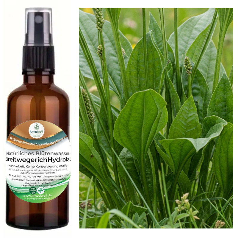 Natürliches Blütenwasser BreitwegerichHydrolat. 100 ML.