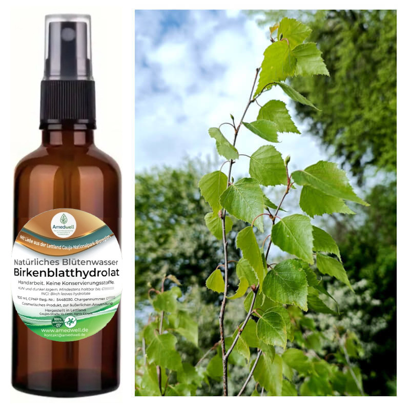 Natürliches Birkenblätter Wasser – Hydrolat. 100 ML.