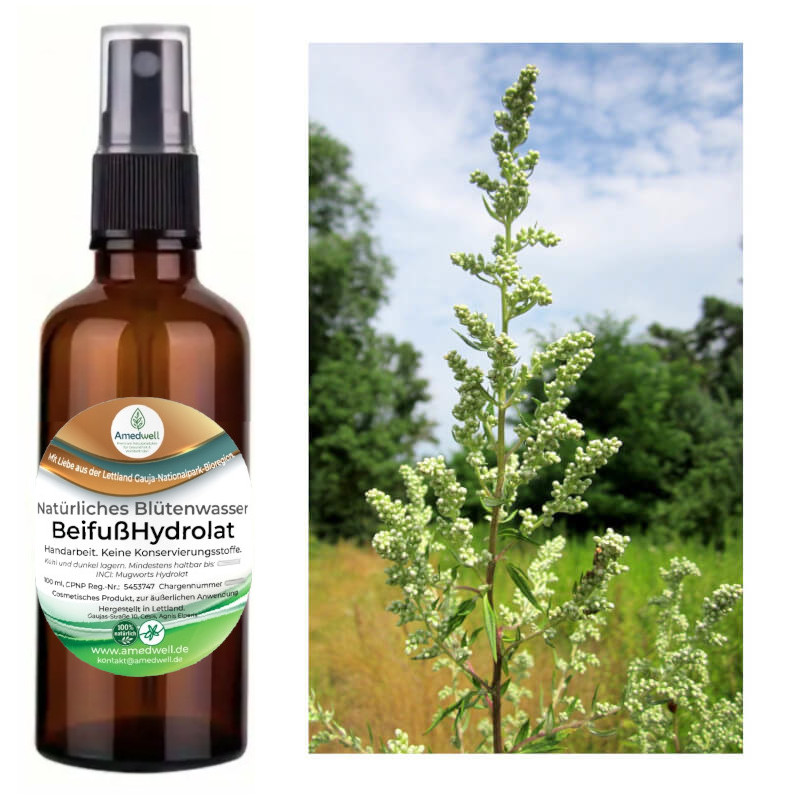 Natürliches Blütenwasser BeifußHydrolat. 100 ML.