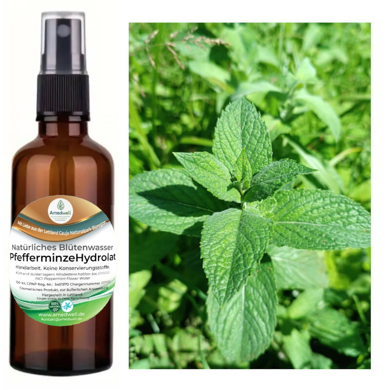Natürliches Blütenwasser PfefferminzeHydrolat. 100 ML.