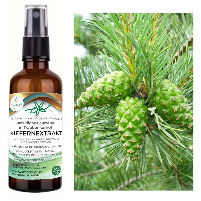 Natürliches Kiefernextract - Mazerat 60 ML