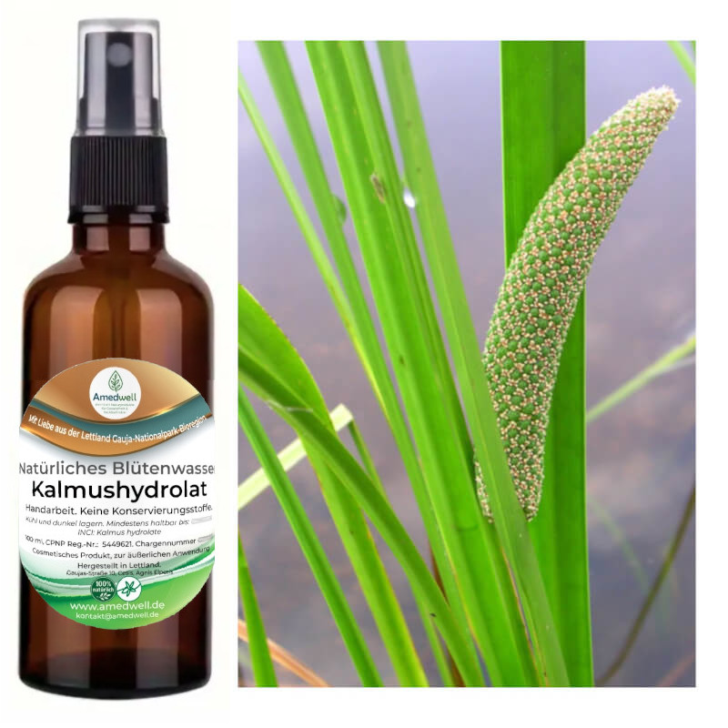 Natürliches Blütenwasser Kalmushydrolat. 100 ML.