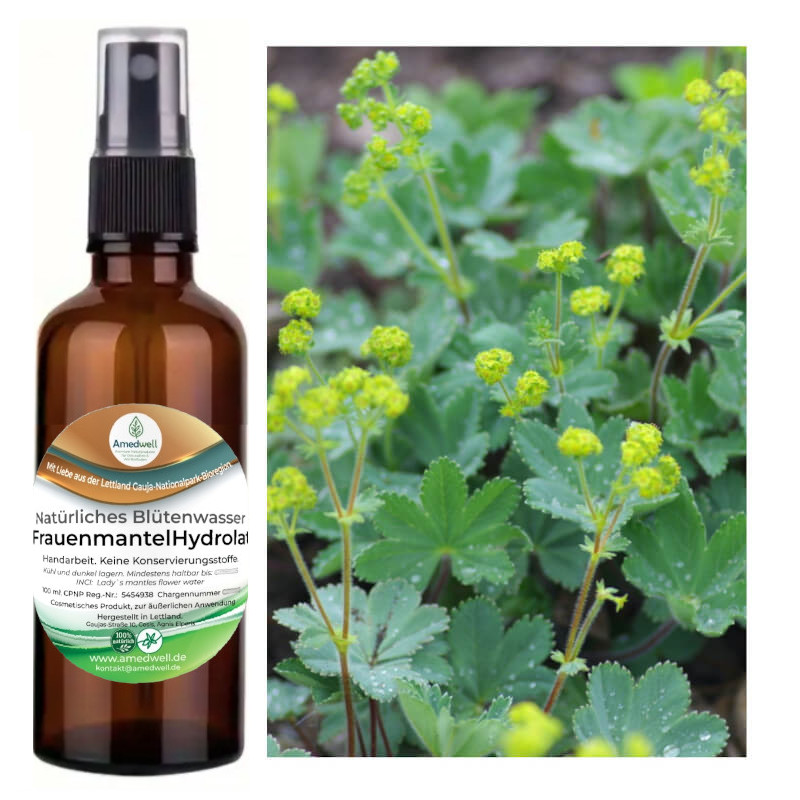 Natürliches Blütenwasser FrauenmantelHydrolat. 100 ML.