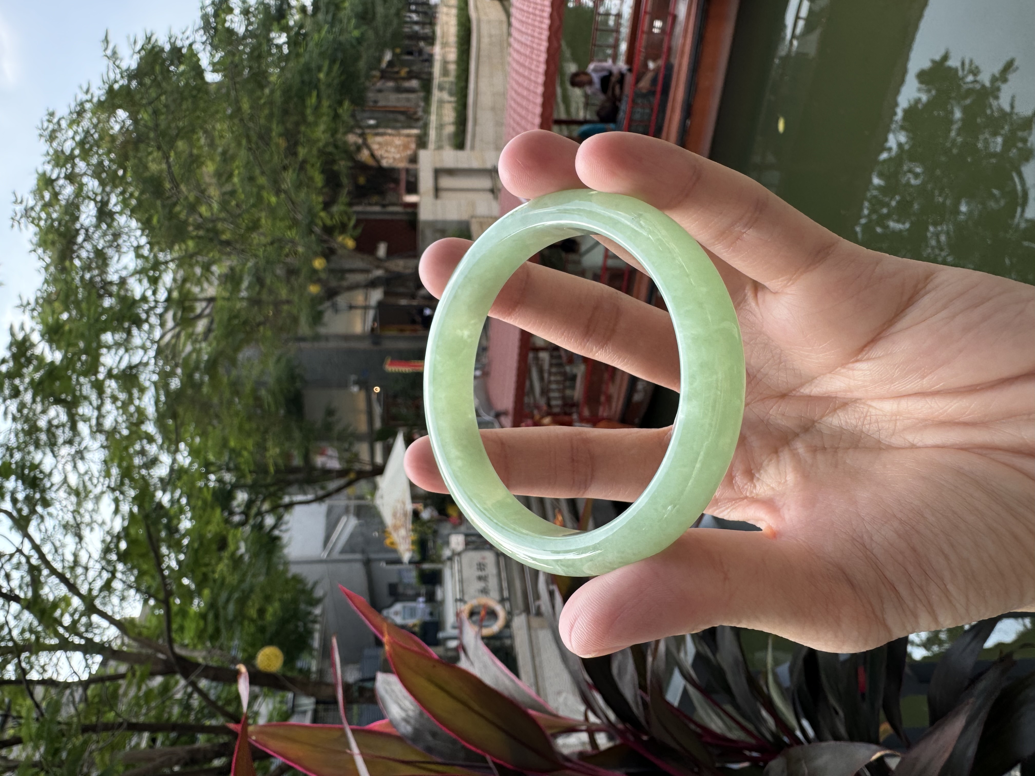 Apple Green Jadeite Bangle 57mm