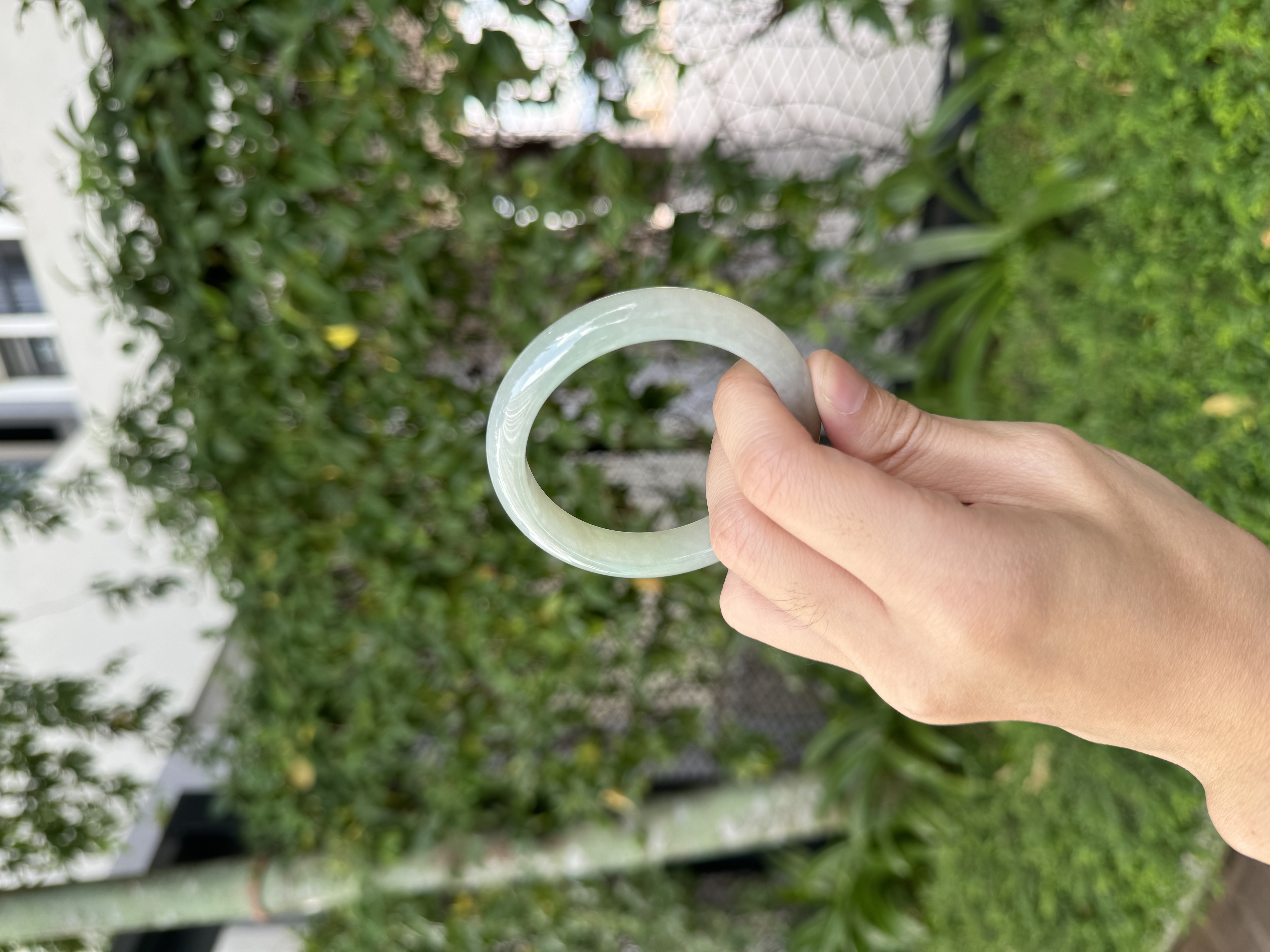 Grape Green Jadeite Bangle 53mm