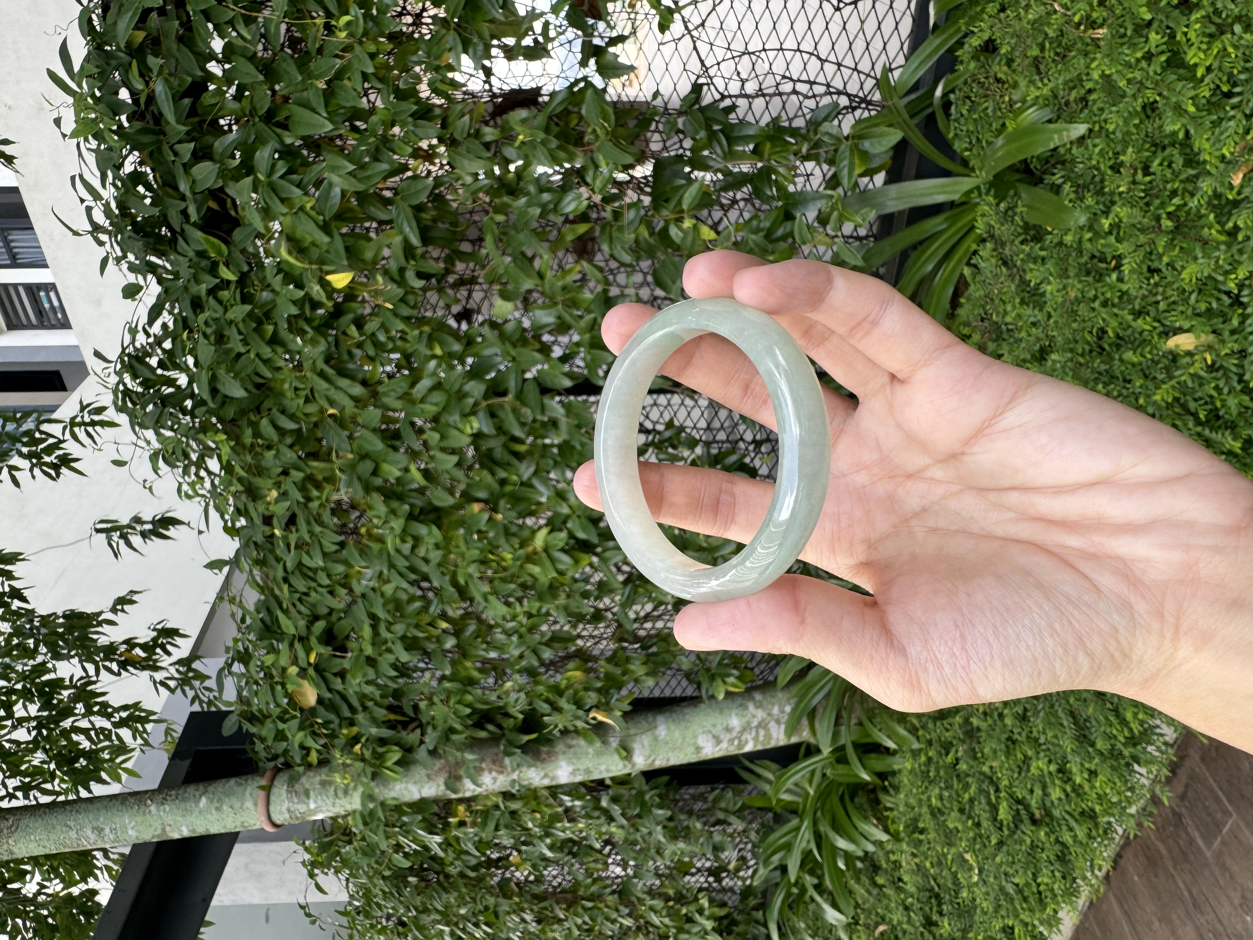 Grape Green Jadeite Bangle 53mm