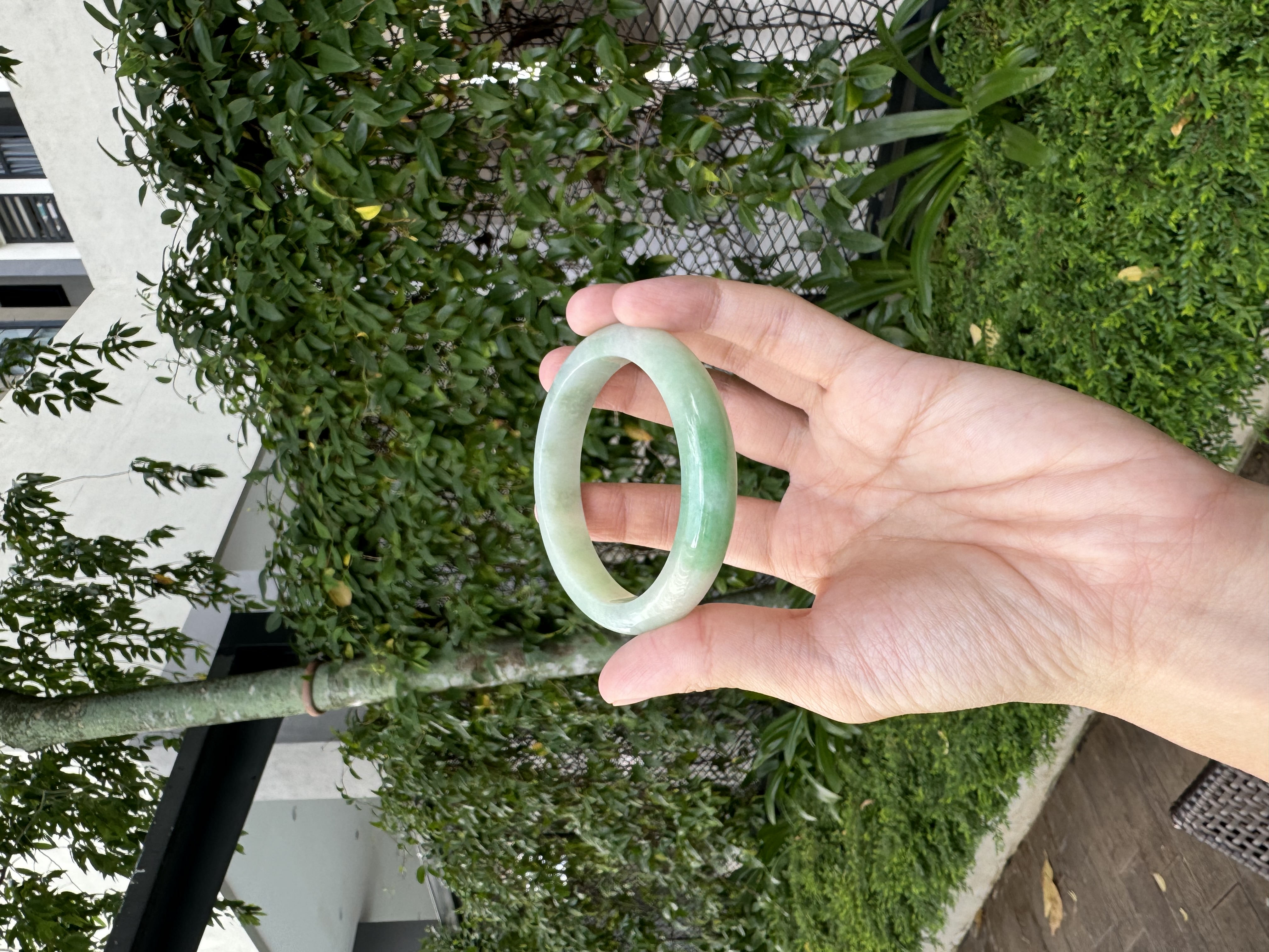 Apple Green Jadeite Bangle 52.8mm
