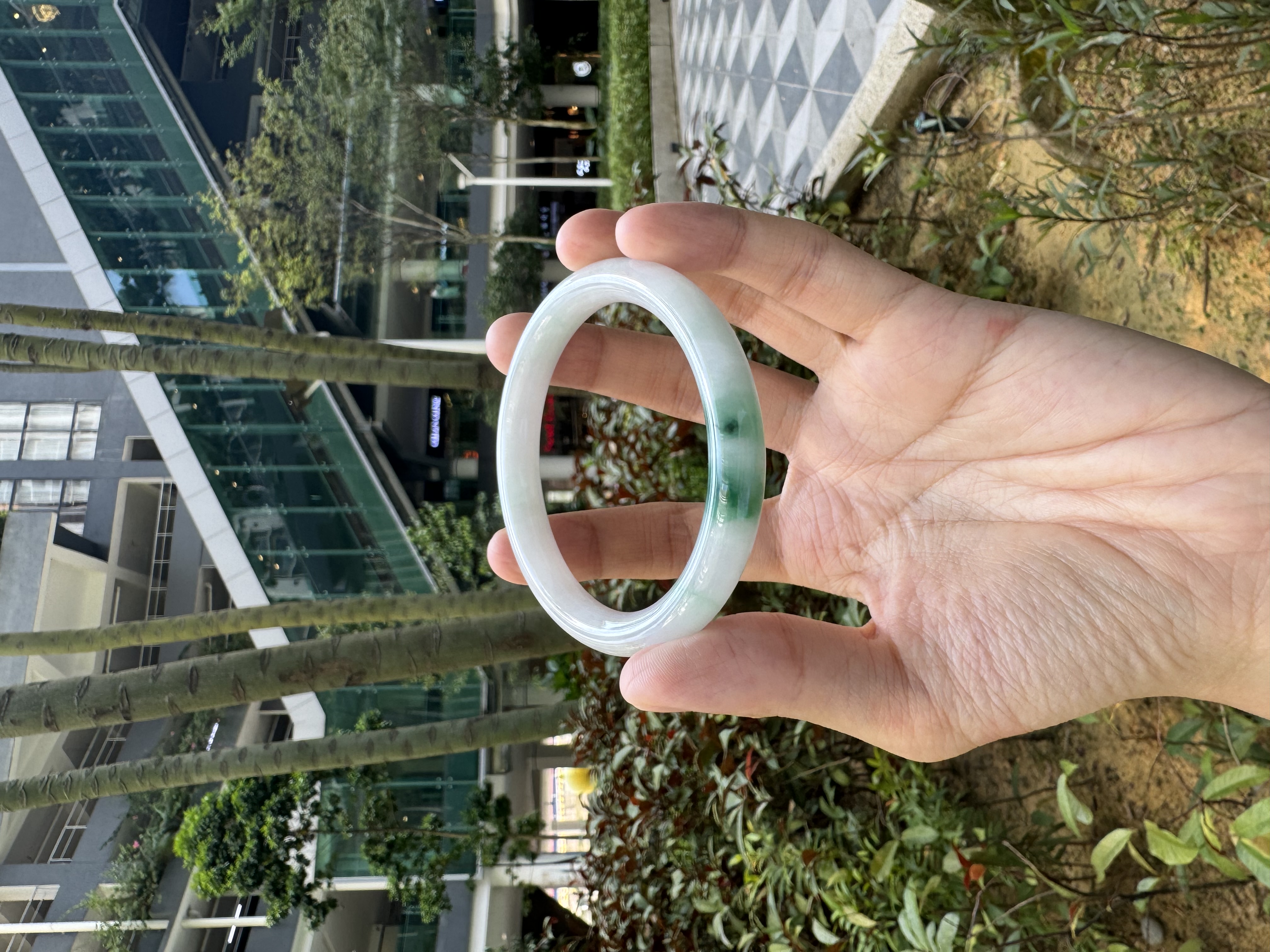 Snowgrass Jadeite Bangle 56mm