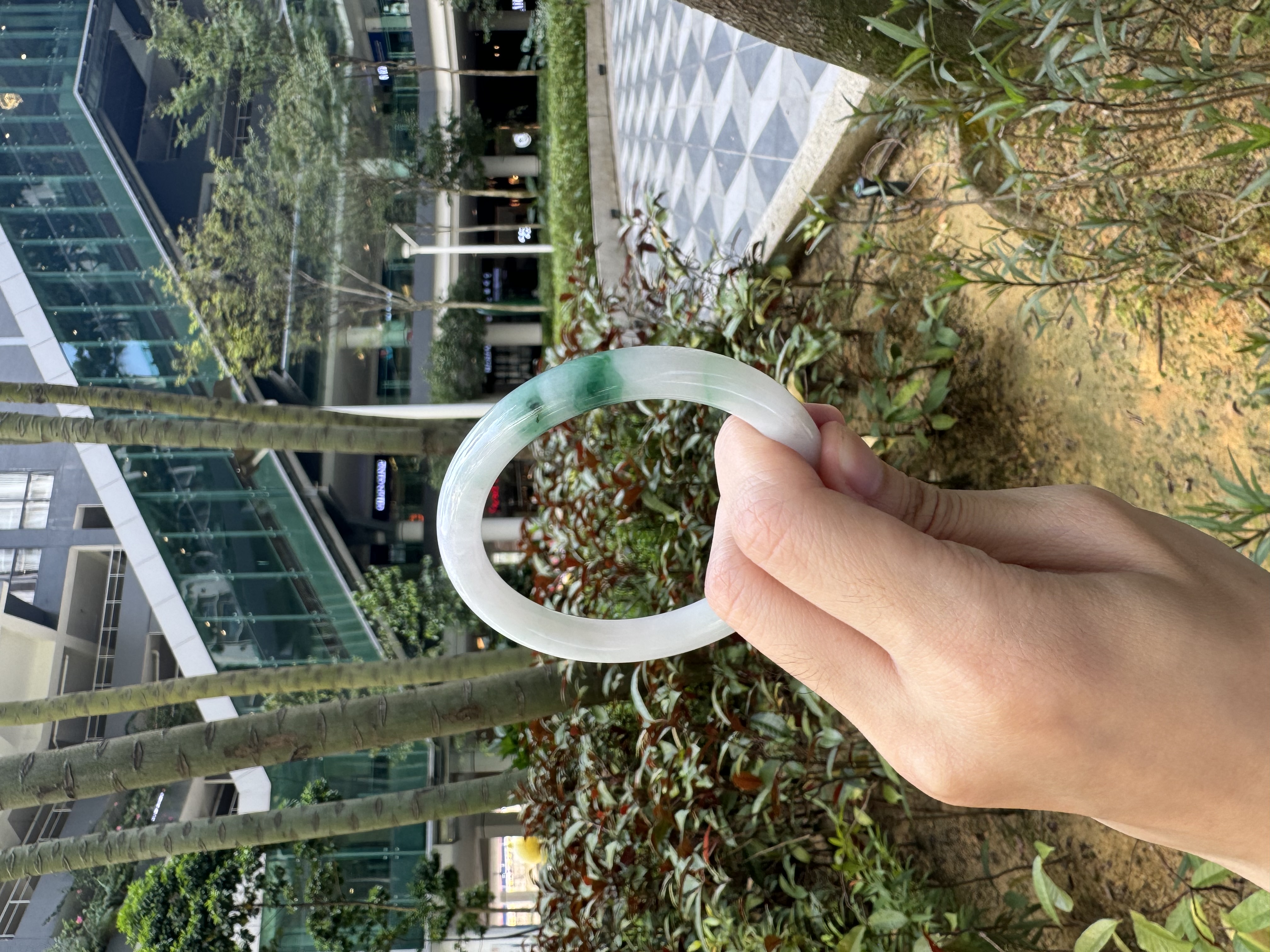 Snowgrass Jadeite Bangle 56mm