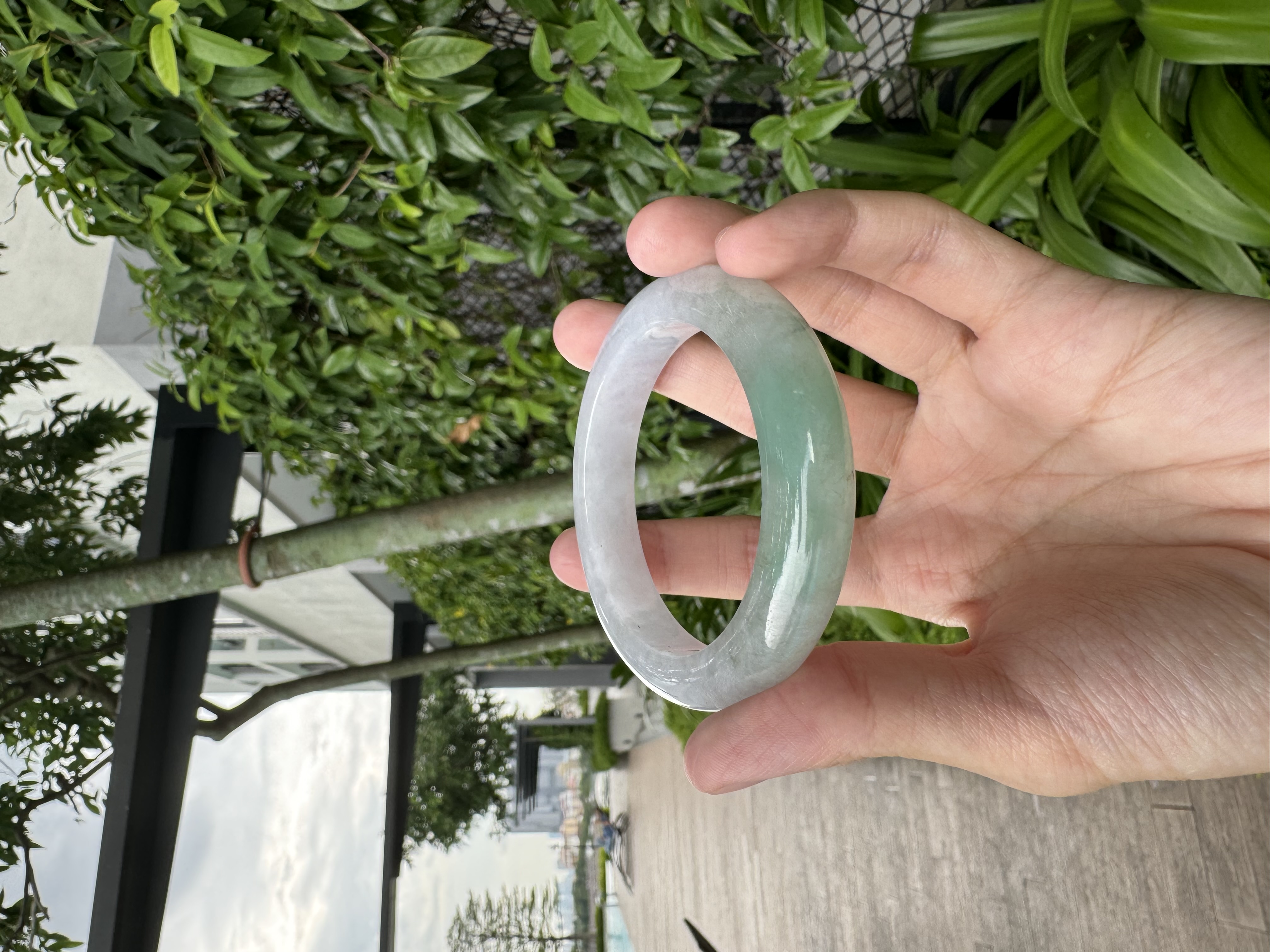 Lavender-and-Spring Jadeite Bangle 52.8mm