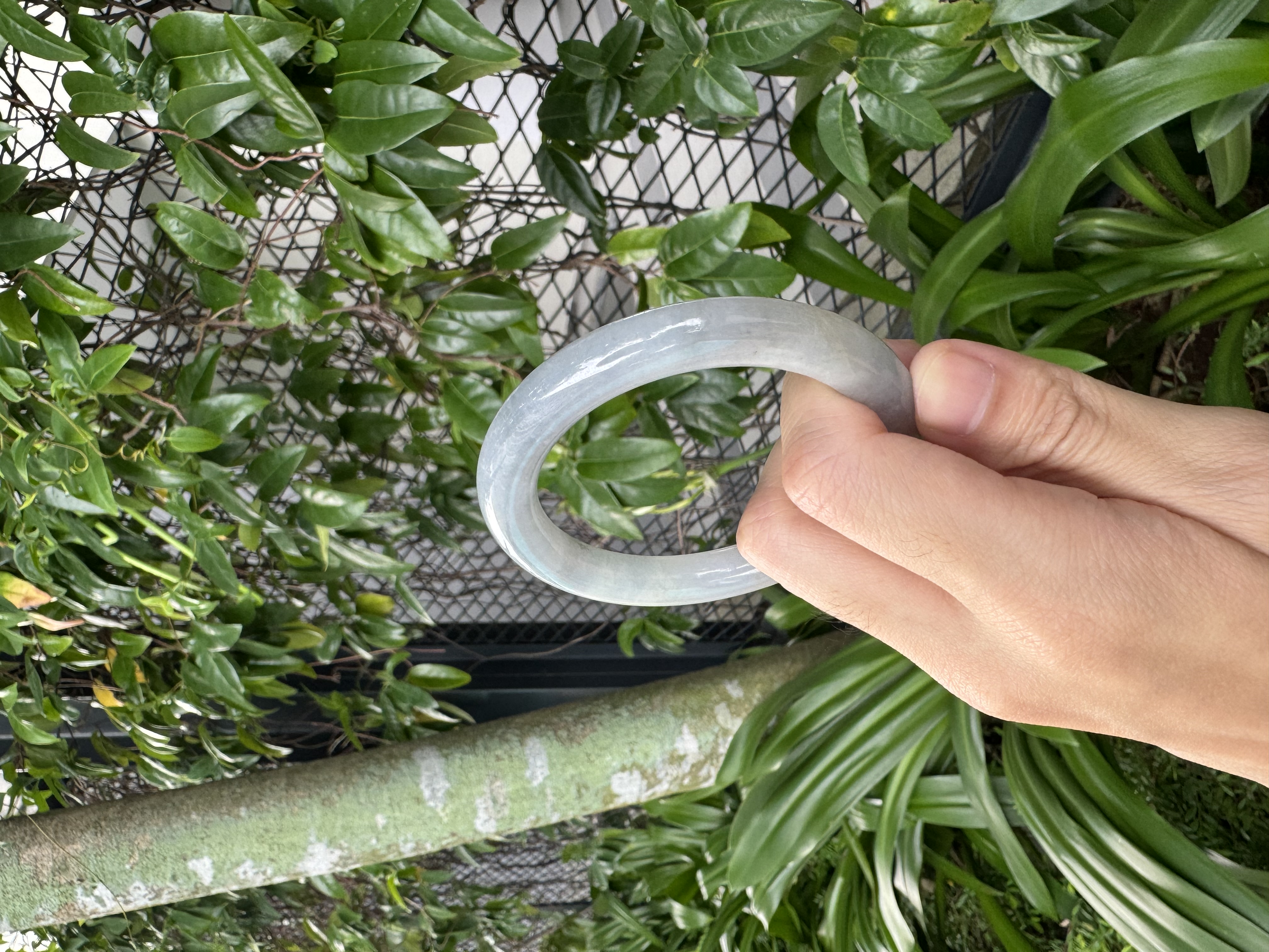 Bluish Purple Jadeite Bangle 54.5mm