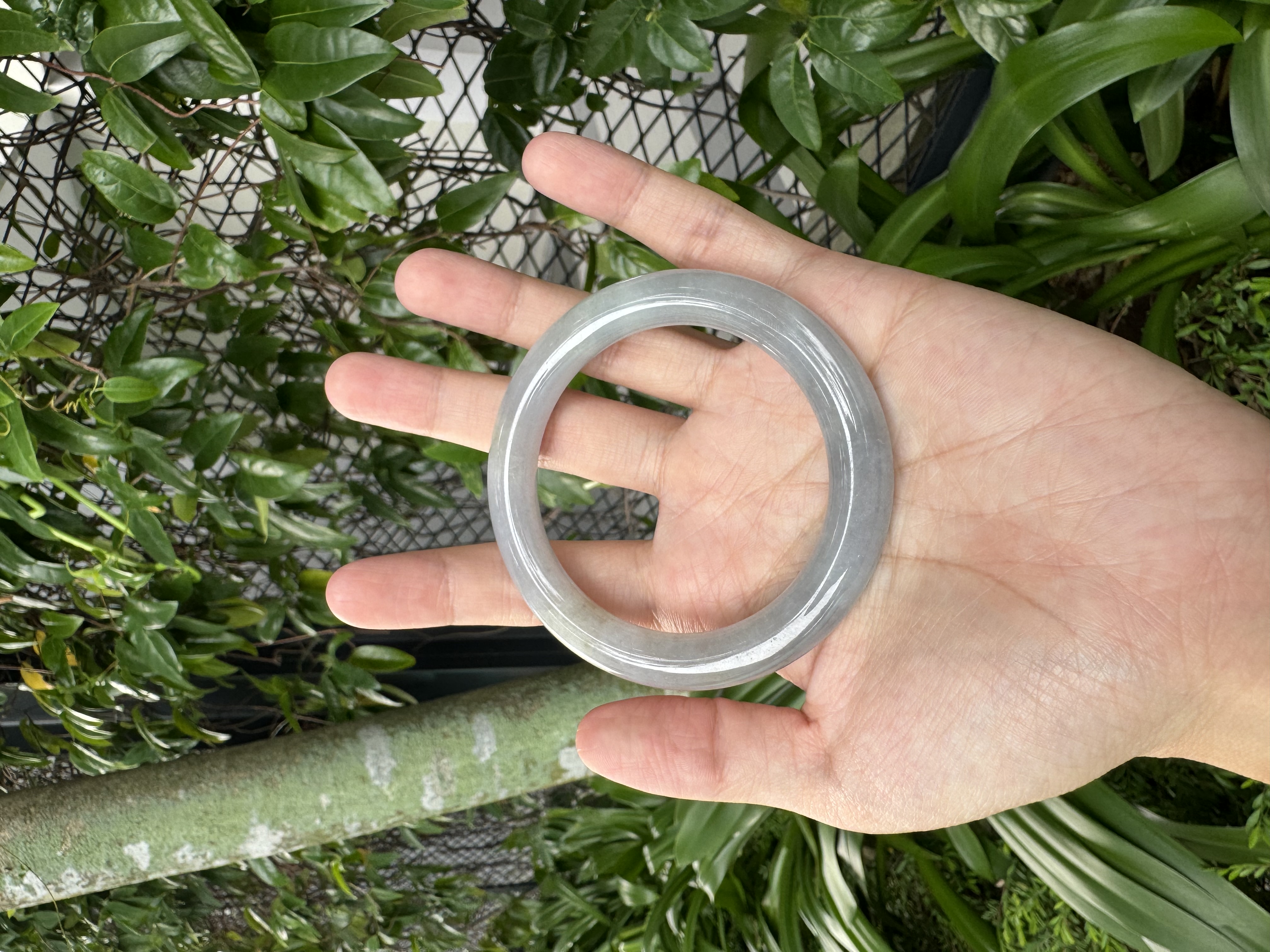 Bluish Purple Jadeite Bangle 54.5mm