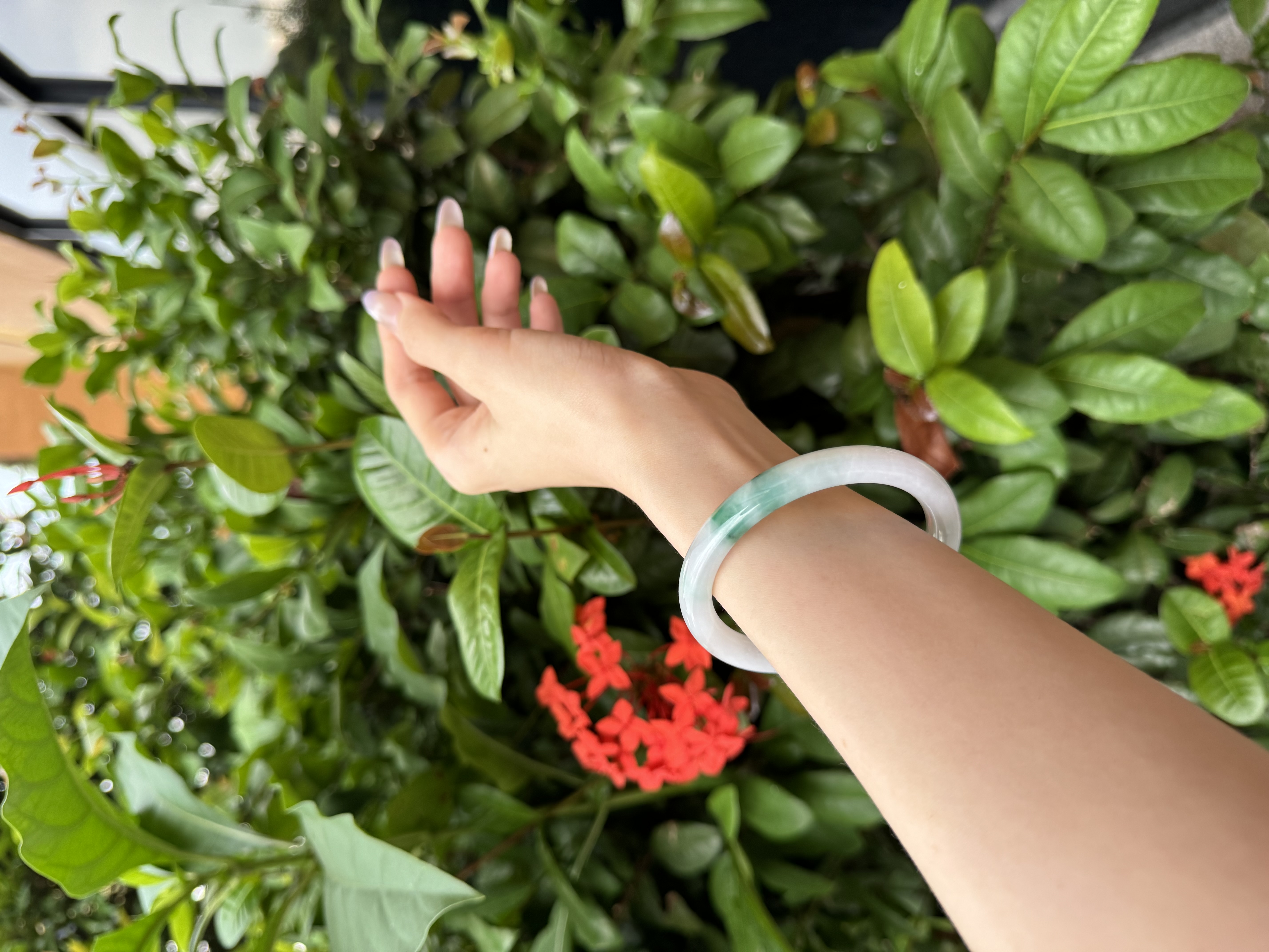Snowgrass Jadeite Bangle 56mm