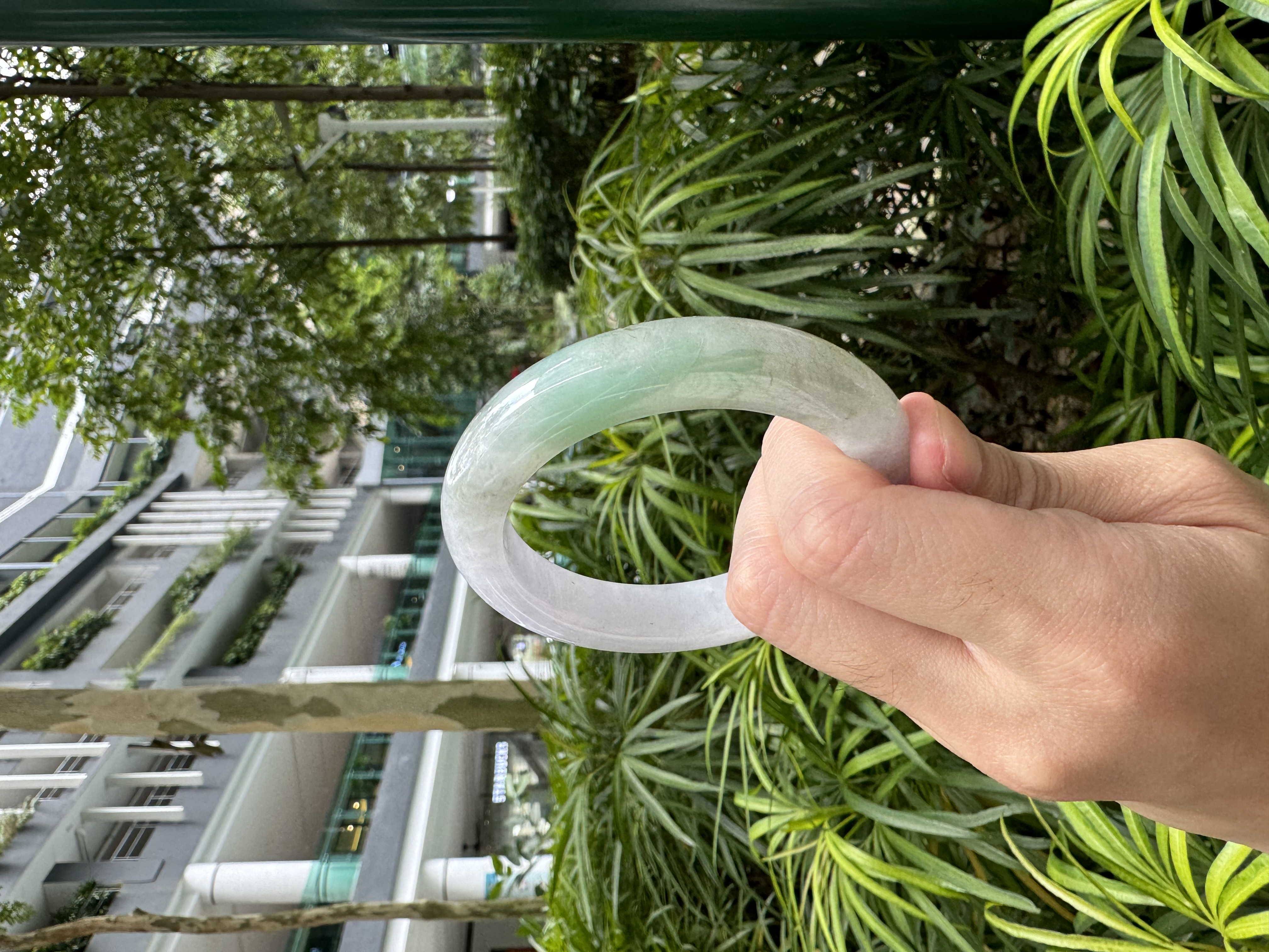 Lavender-and-Spring Jadeite Bangle 52.8mm