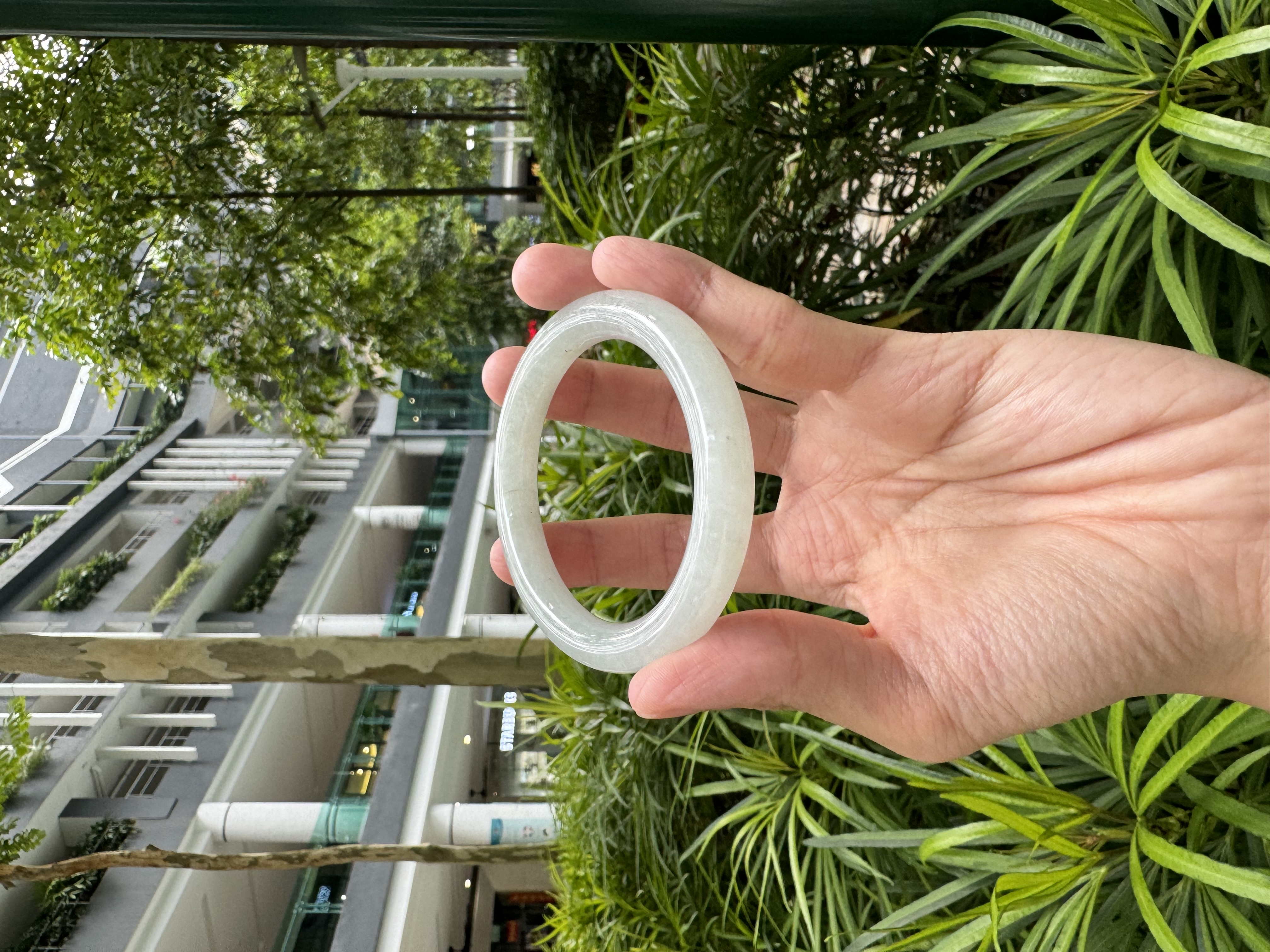 Glazed Moonlight Jadeite Bangle 54mm