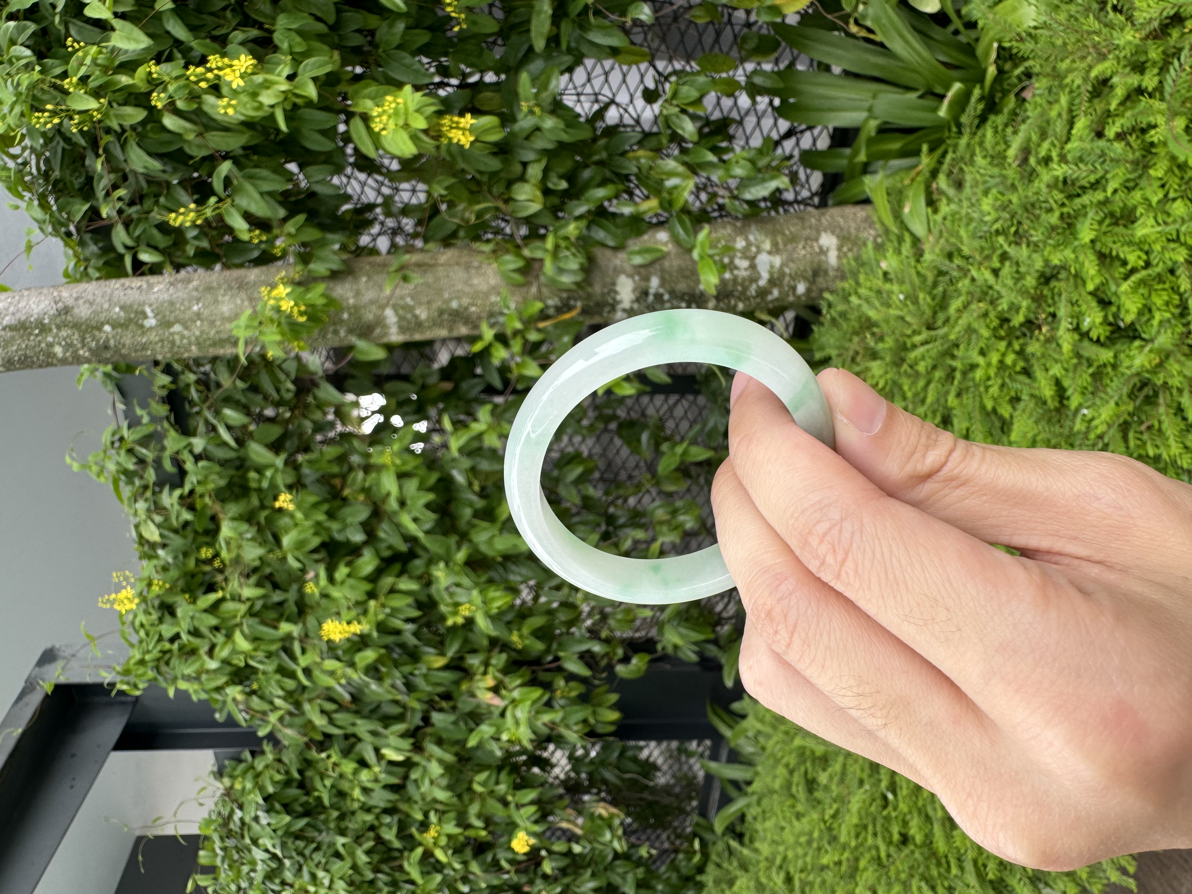 Apple Green Oval Jadeite Bangle 52mm