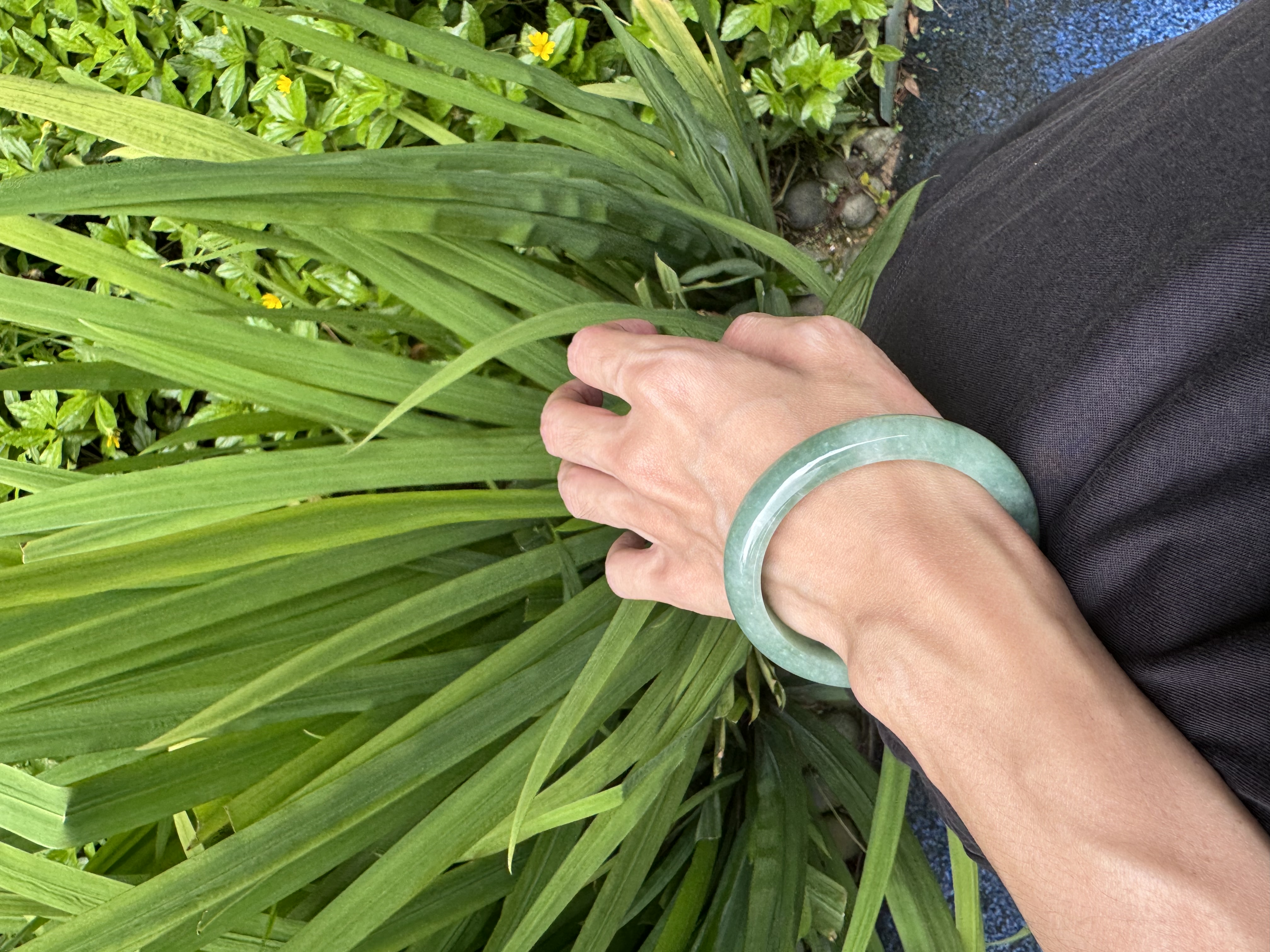 Forest Green Jadeite Bangle 55.5mm