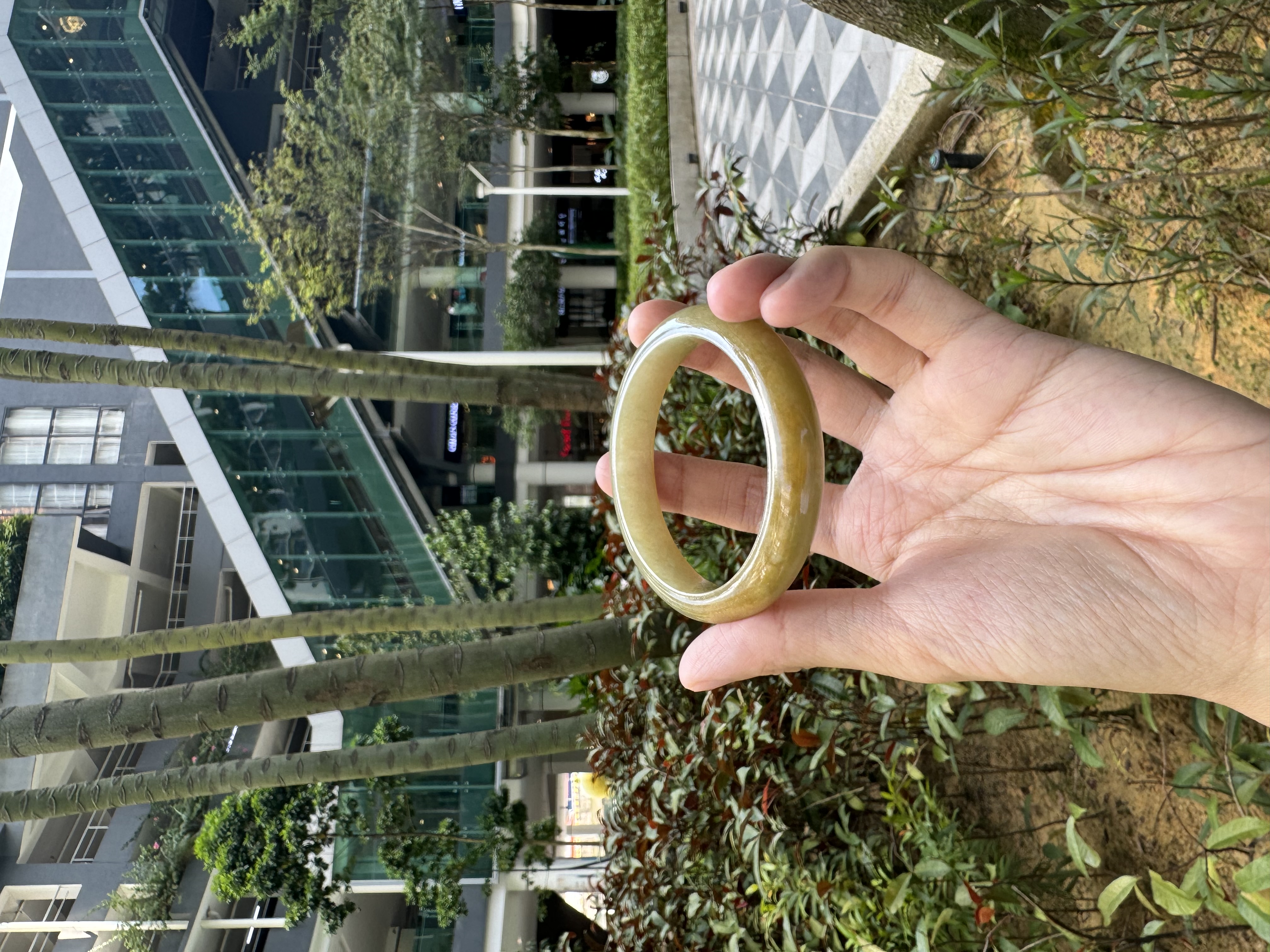 Creamy Yellow Jadeite Bangle 54mm