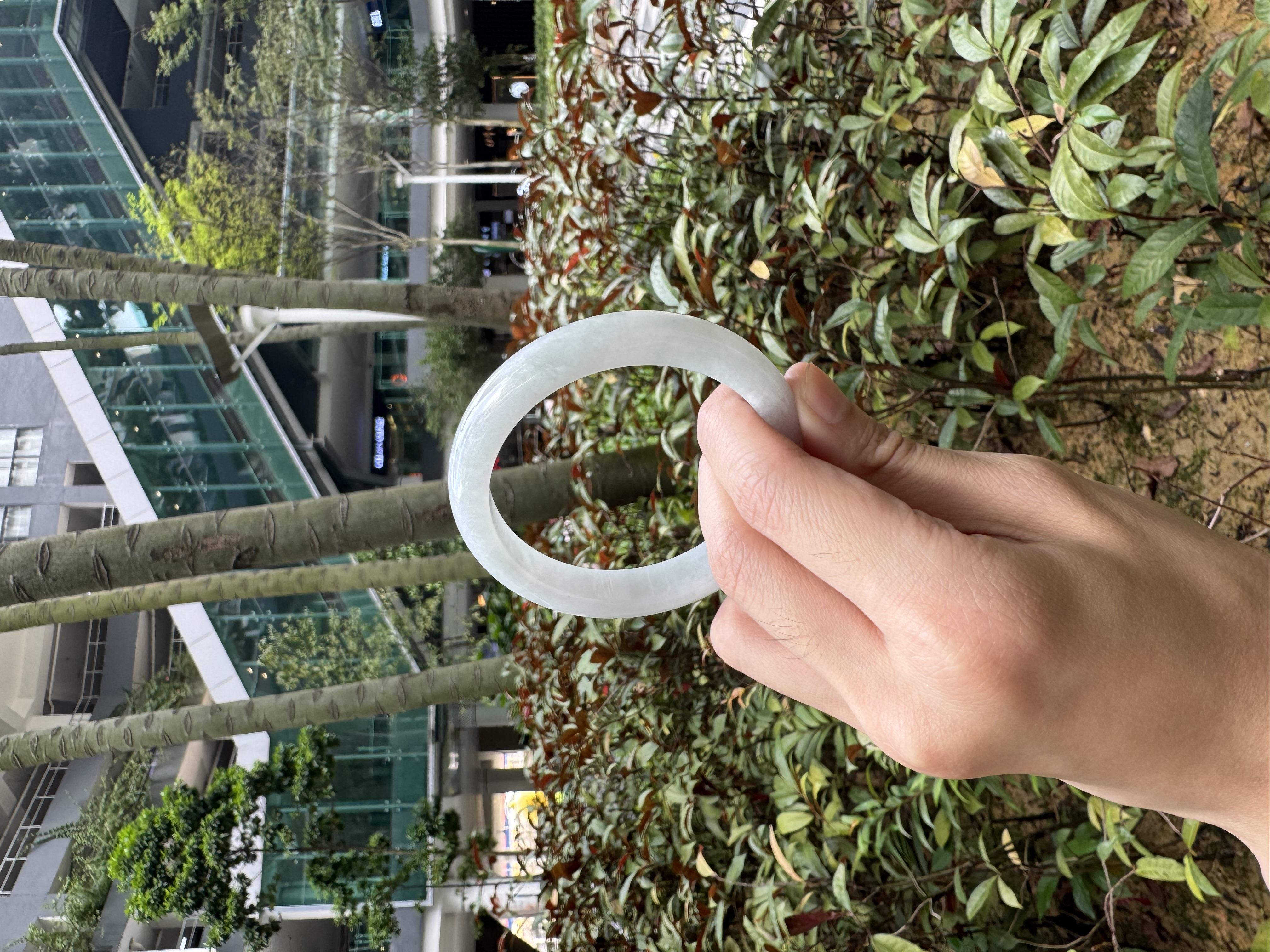 Milky White Jadeite Bangle 55.8mm