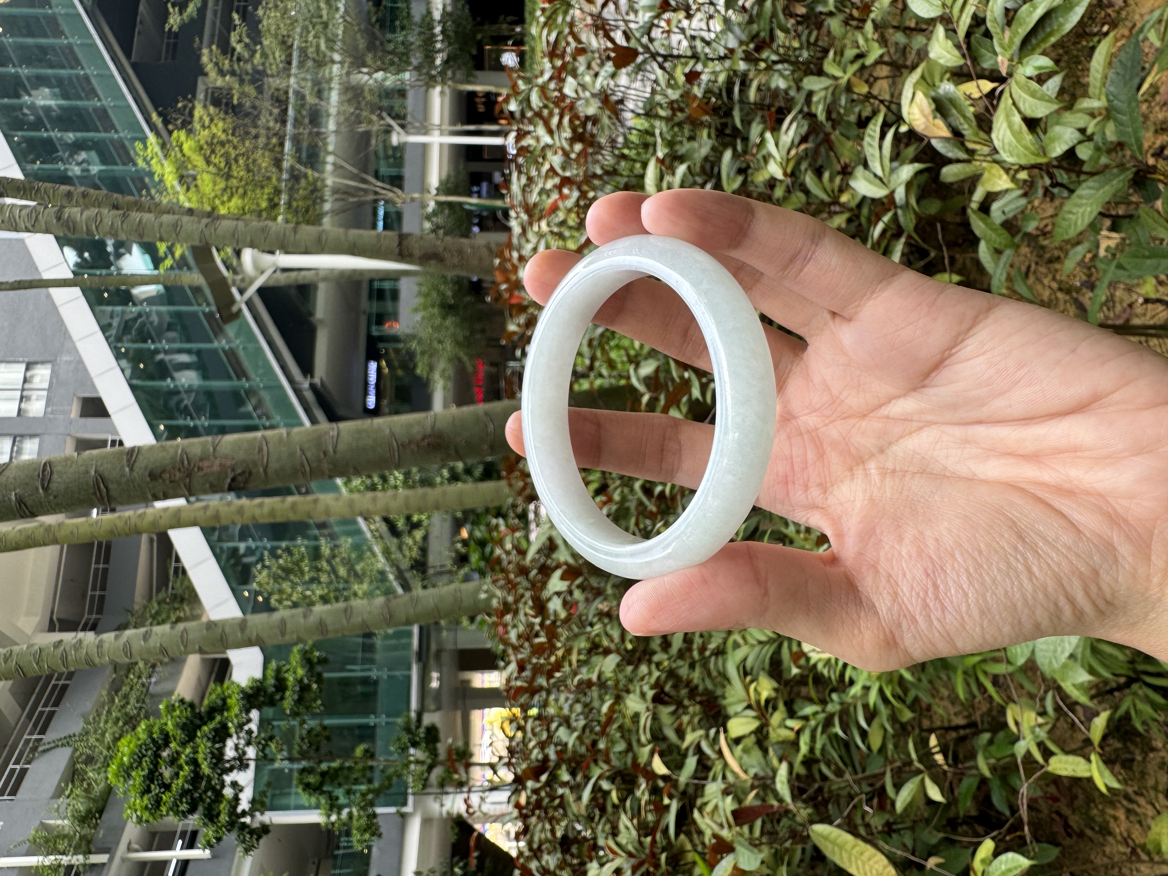 Milky White Jadeite Bangle 55.8mm