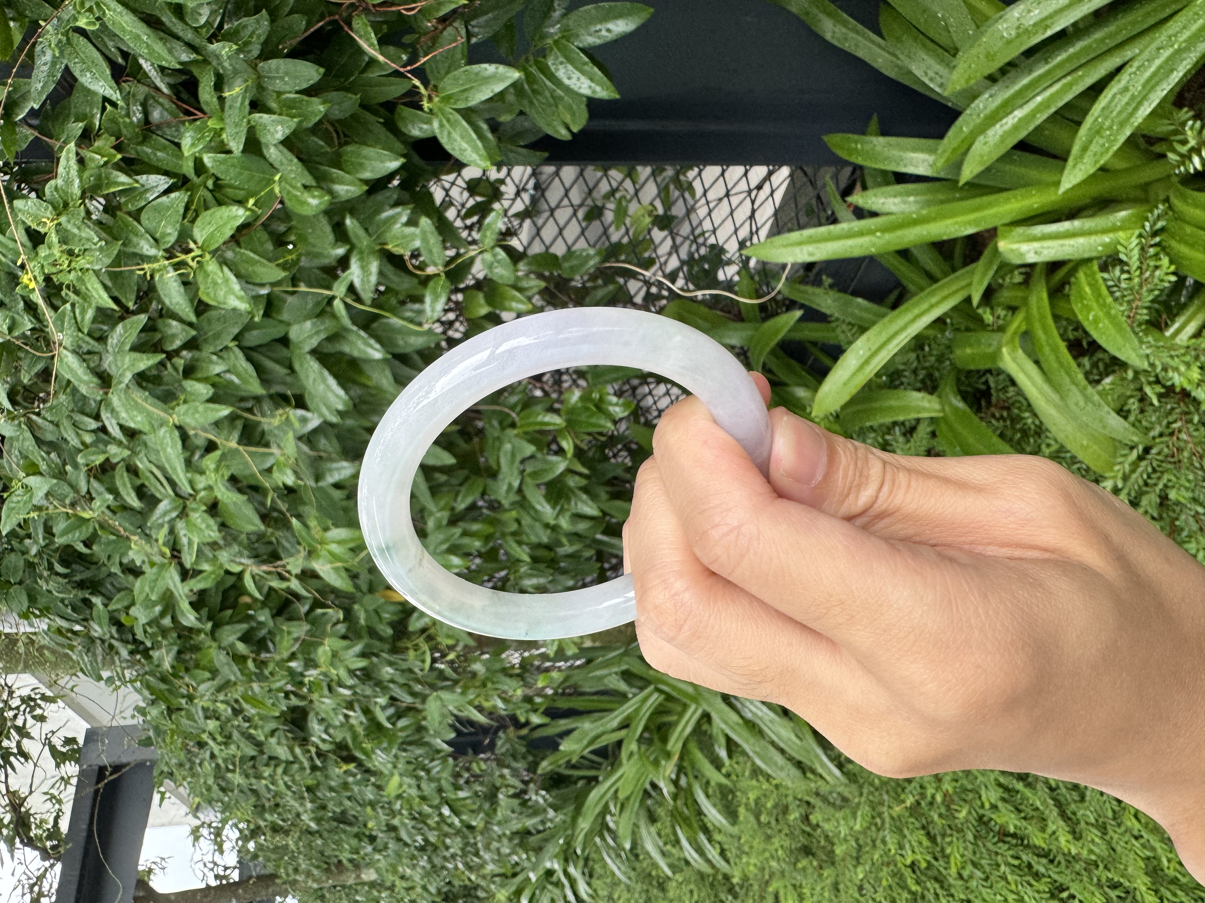 Icy Lavender-and-Spring Jadeite Bangle 56mm