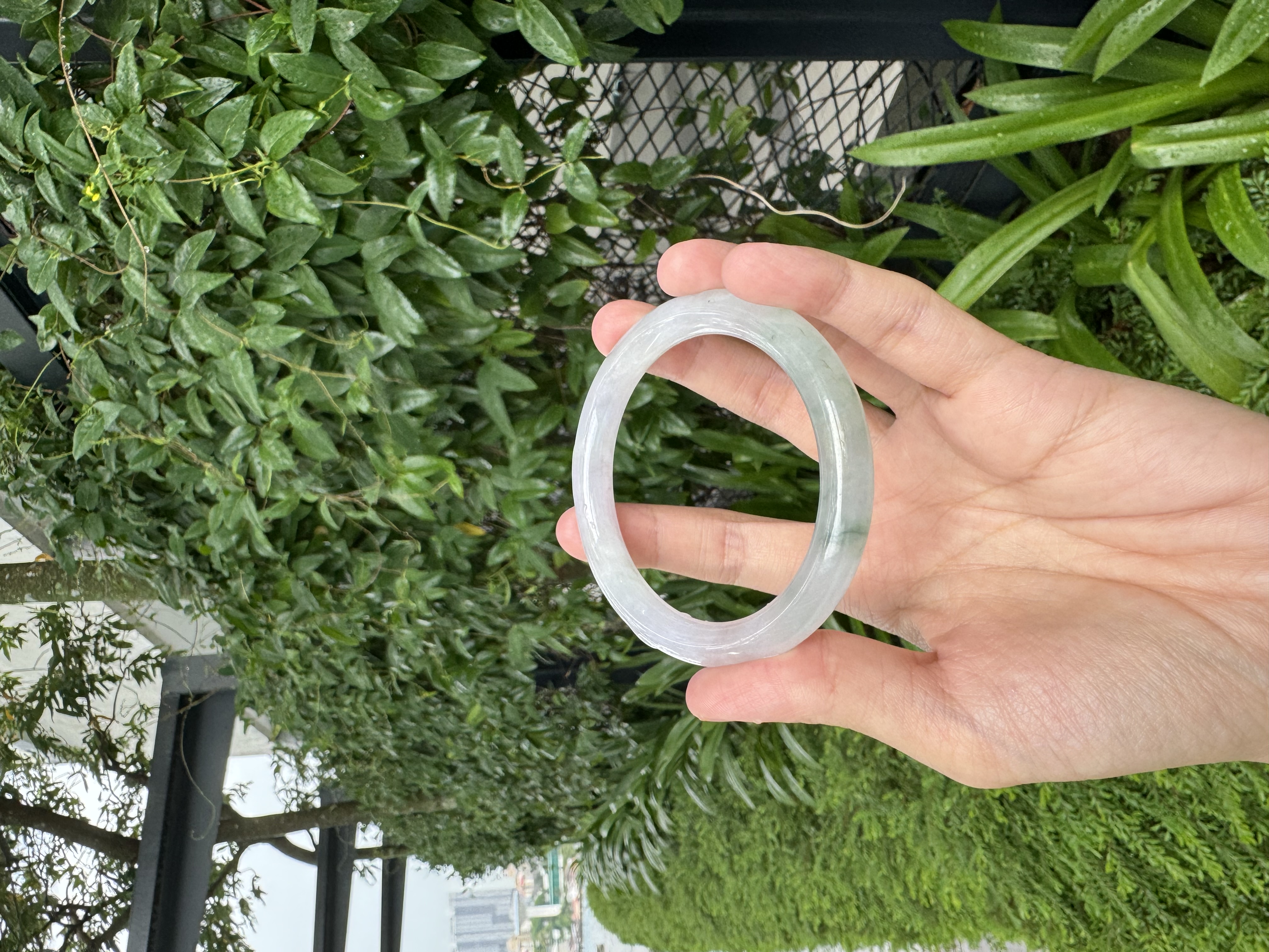 Icy Lavender-and-Spring Jadeite Bangle 56mm