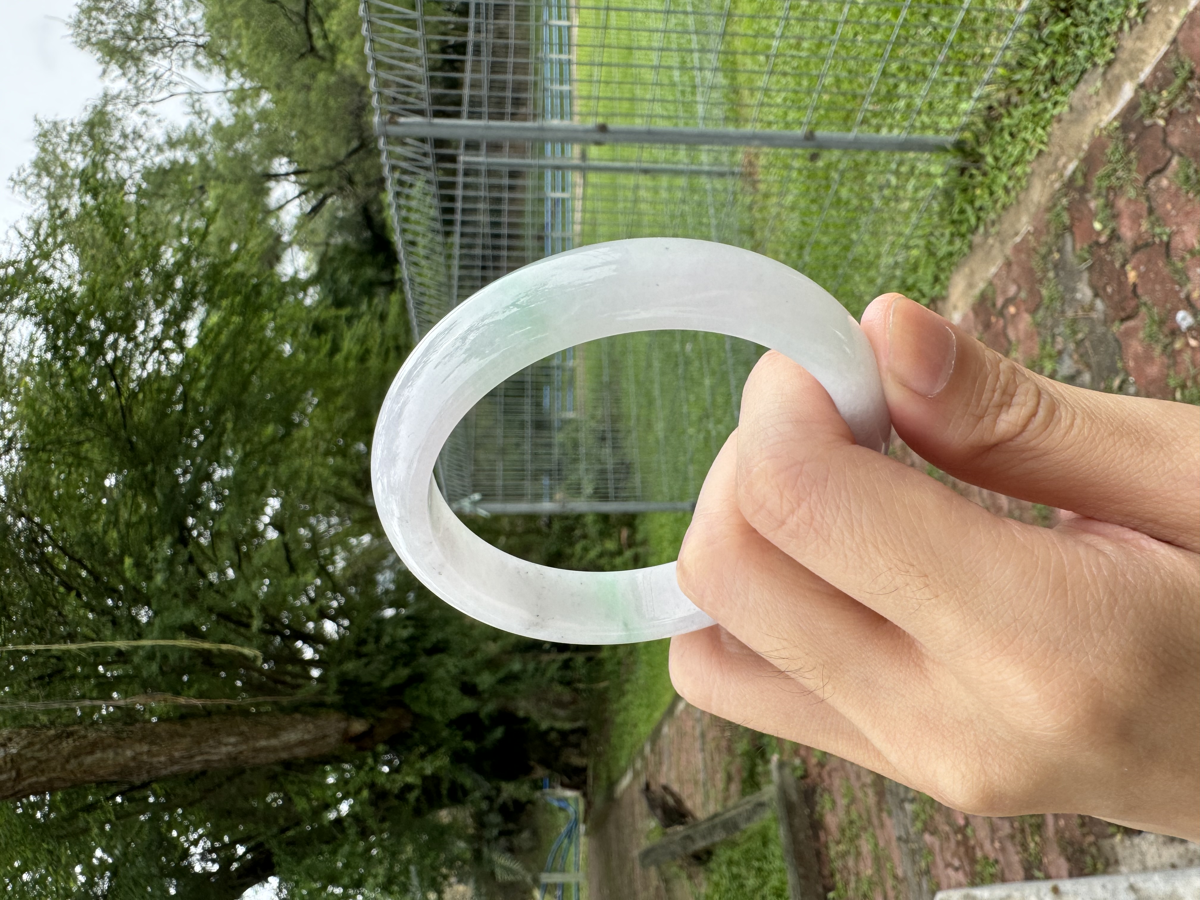 Icy Lavender-and-Spring Jadeite Bangle 57.7mm