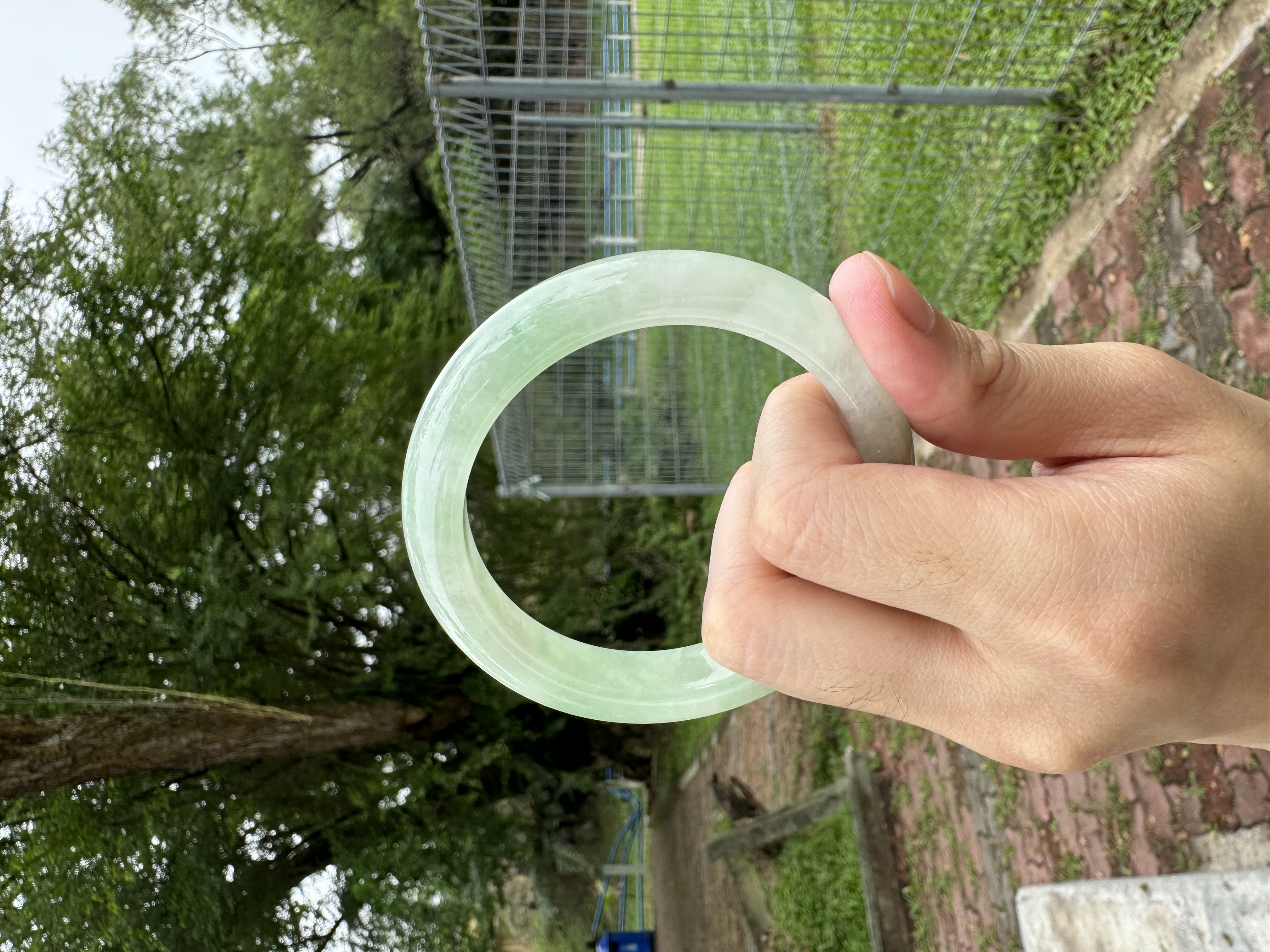 Icy Grape Green Jadeite Bangle 55.5mm