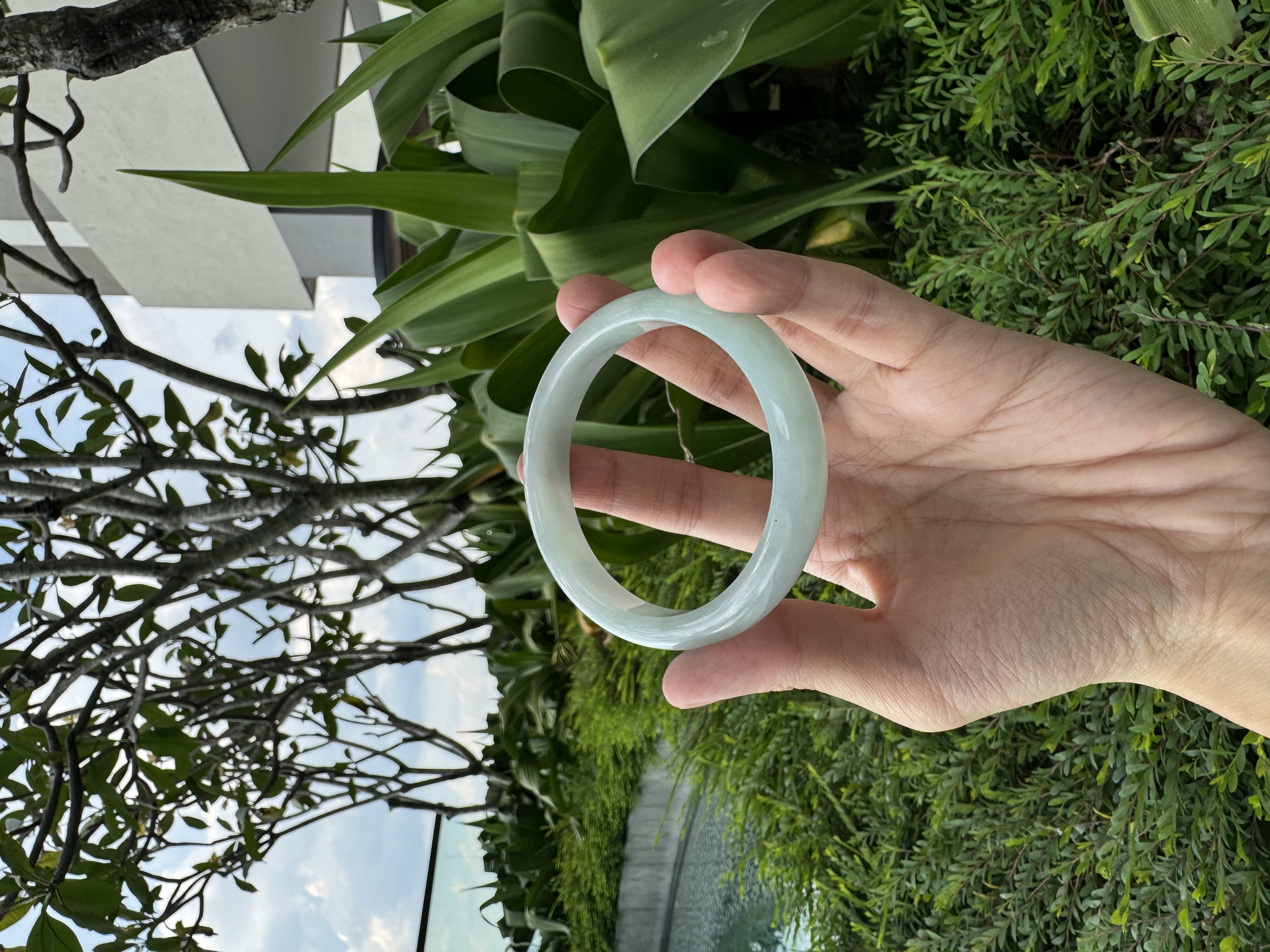Sky Blue Jadeite Bangle 59mm