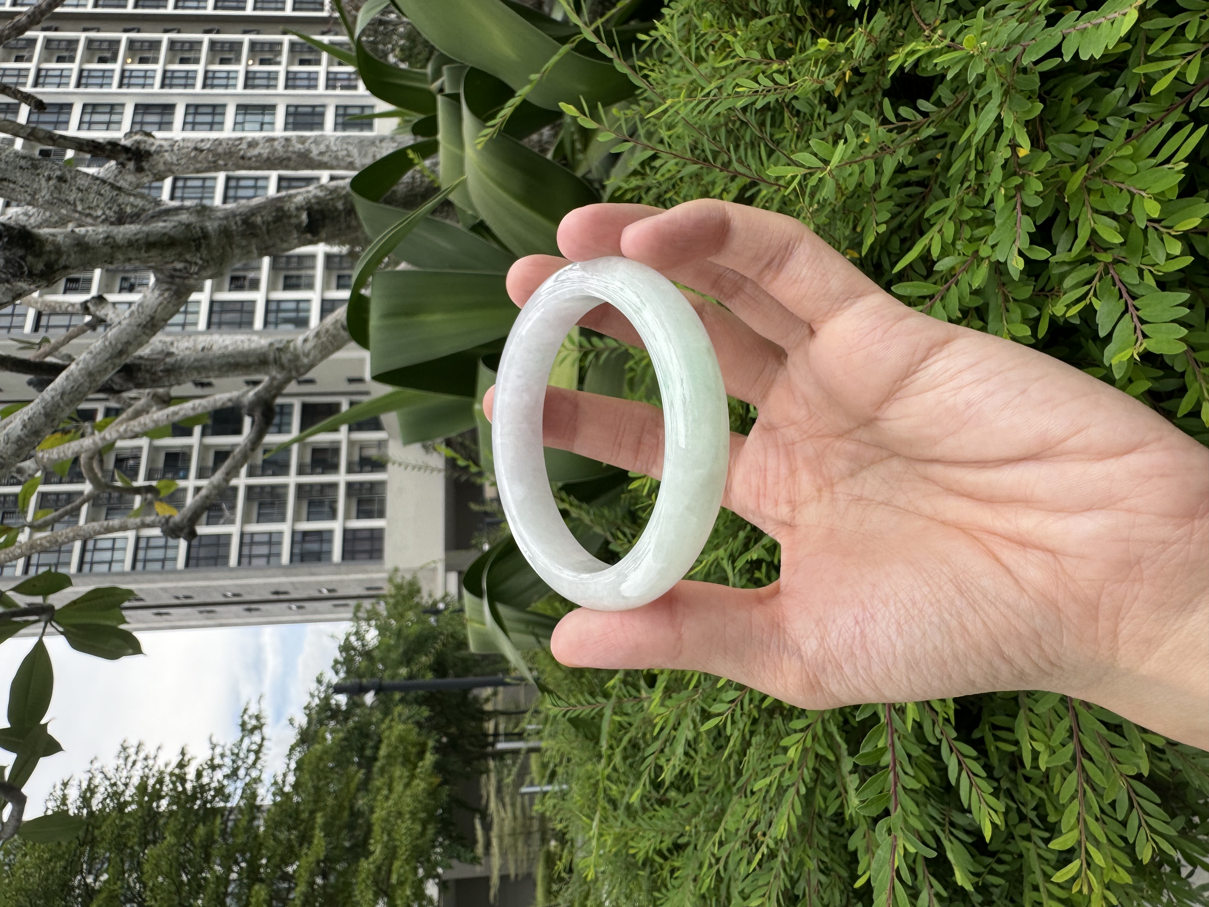 Half Moutain Sunny Green Jadeite Bangle 55mm