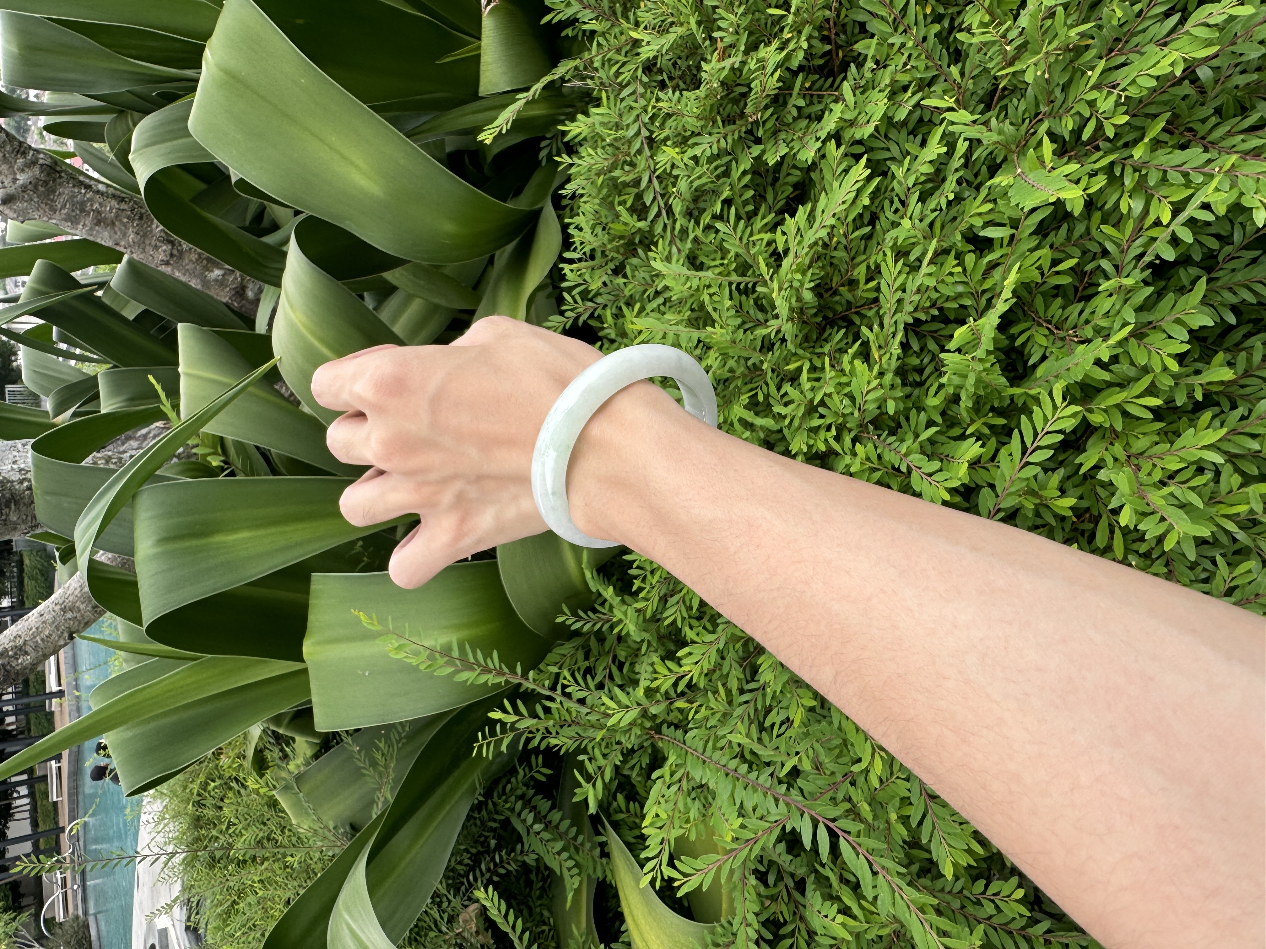 Half Moutain Sunny Green Jadeite Bangle 55mm