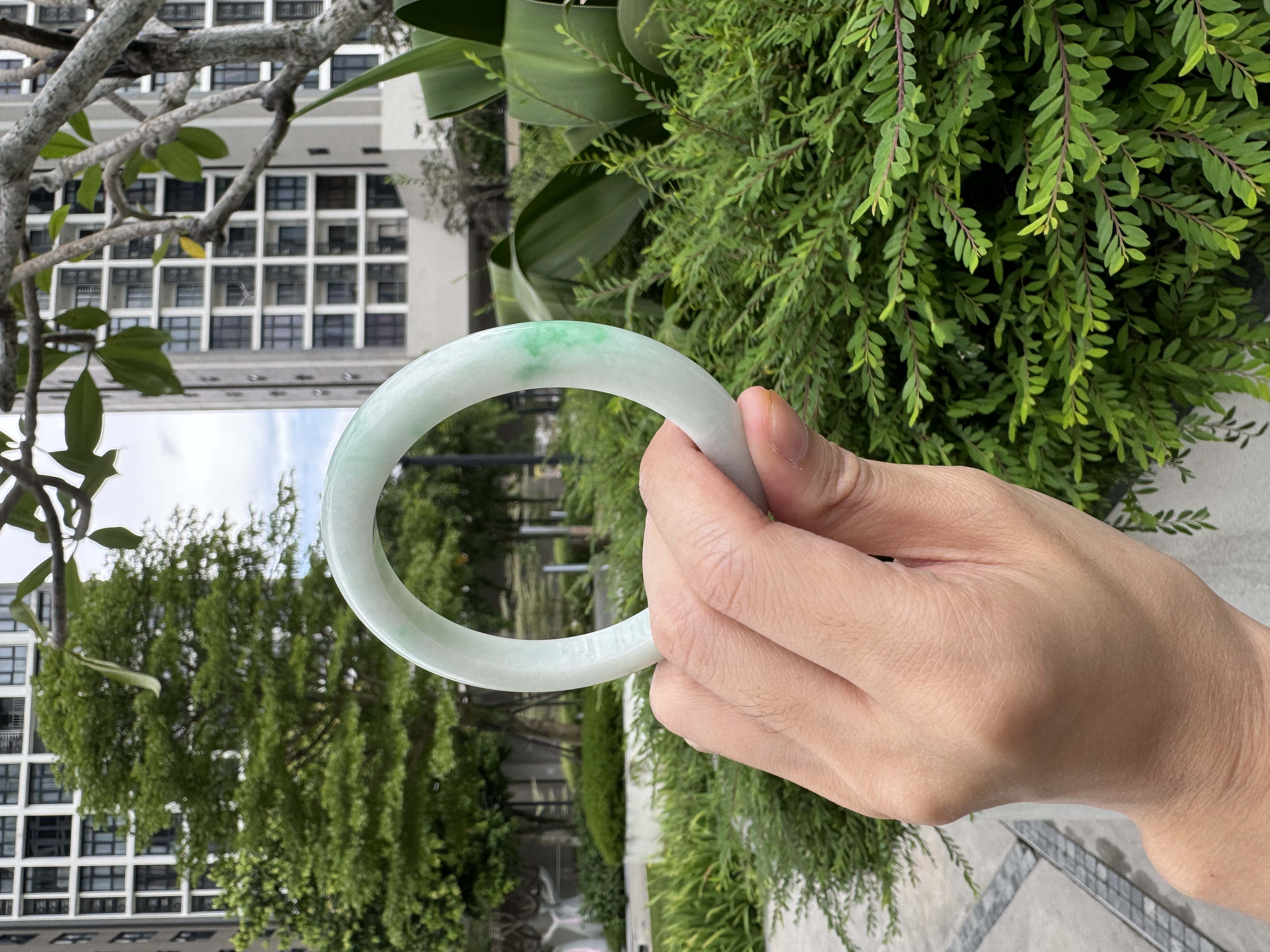 Snowgrass Jadeite Bangle 61mm