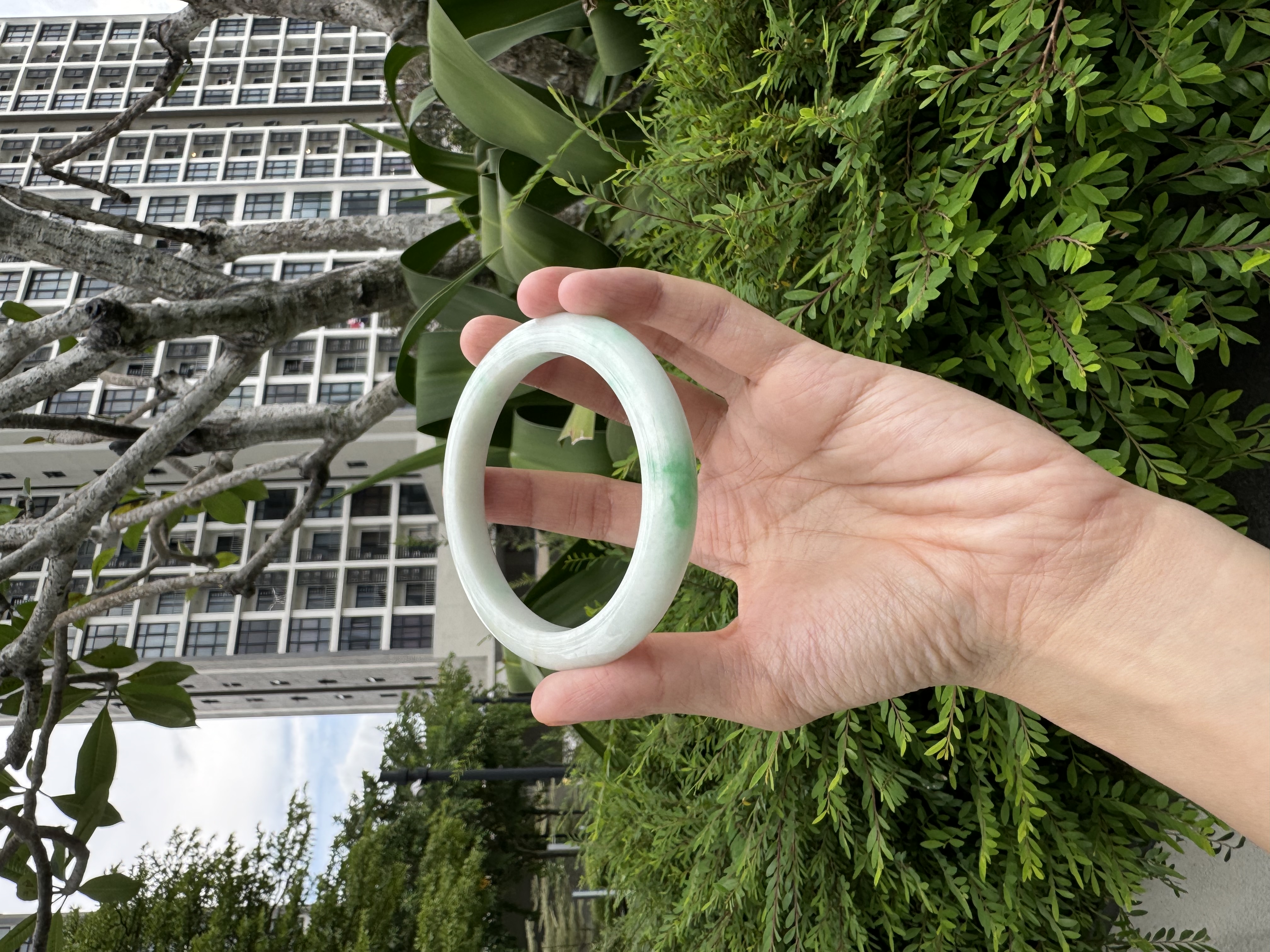 Snowgrass Jadeite Bangle 61mm