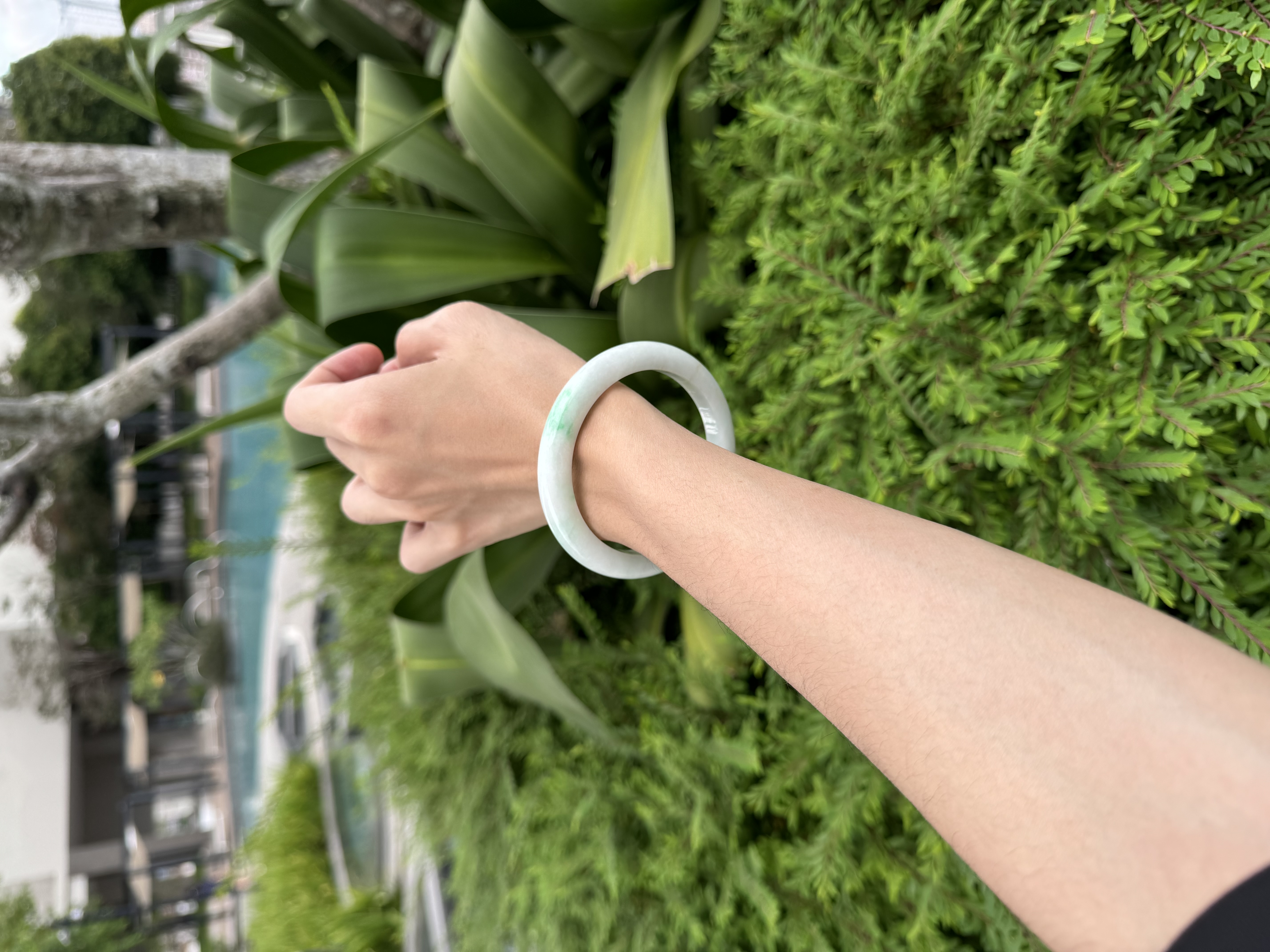 Snowgrass Jadeite Bangle 61mm