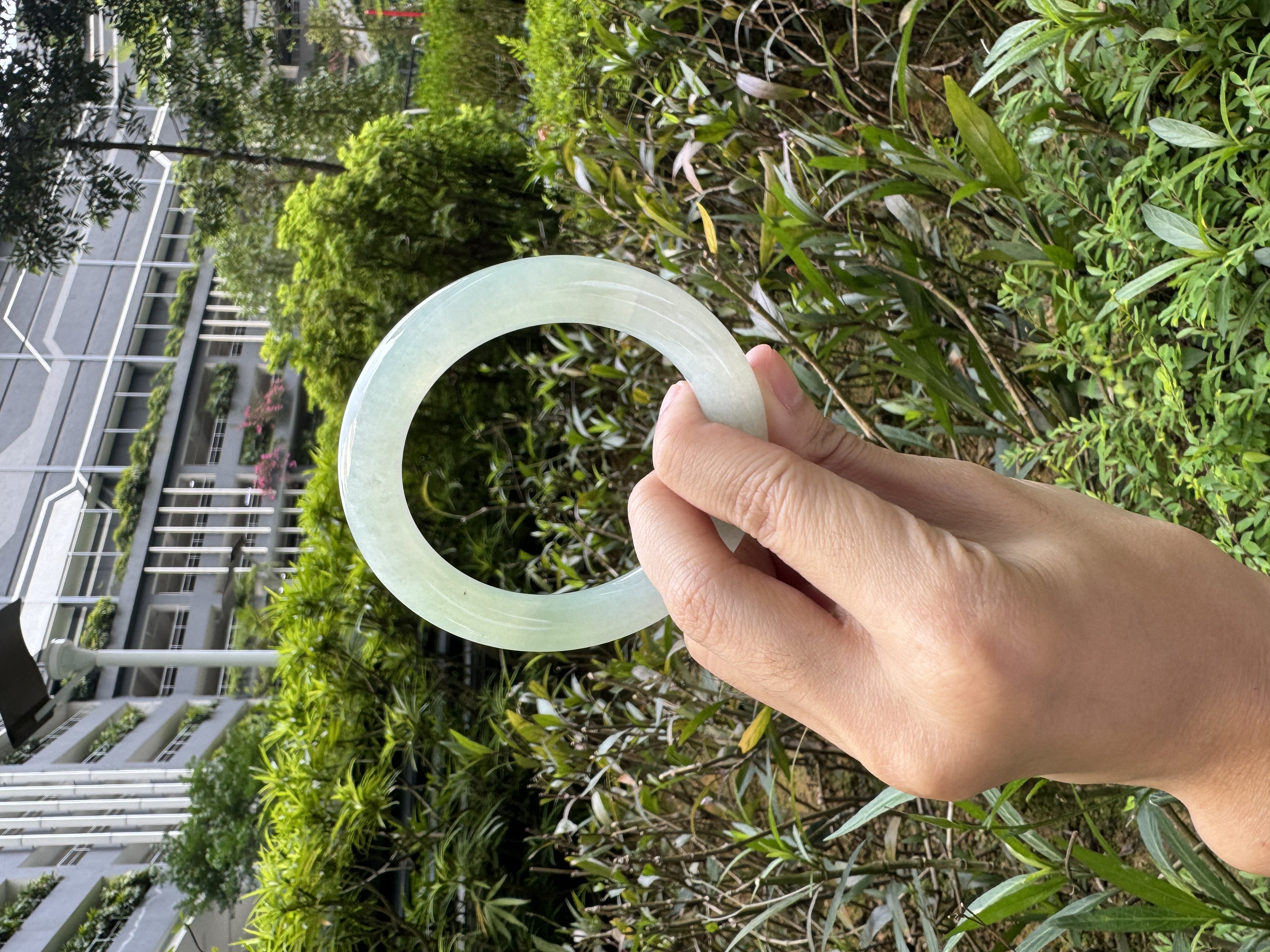 Icy Grape Green Jadeite Bangle 59mm