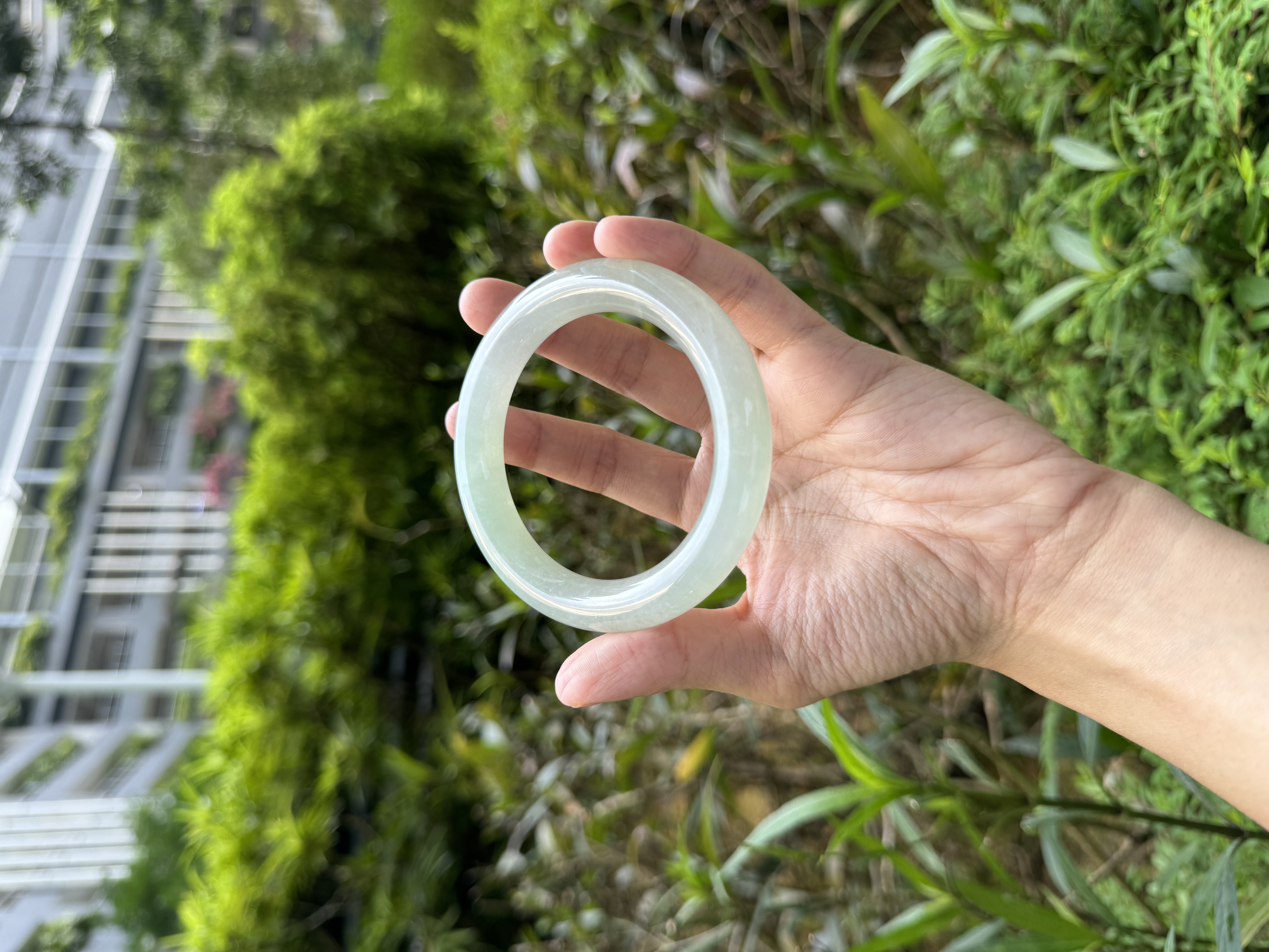 Icy Grape Green Jadeite Bangle 59mm