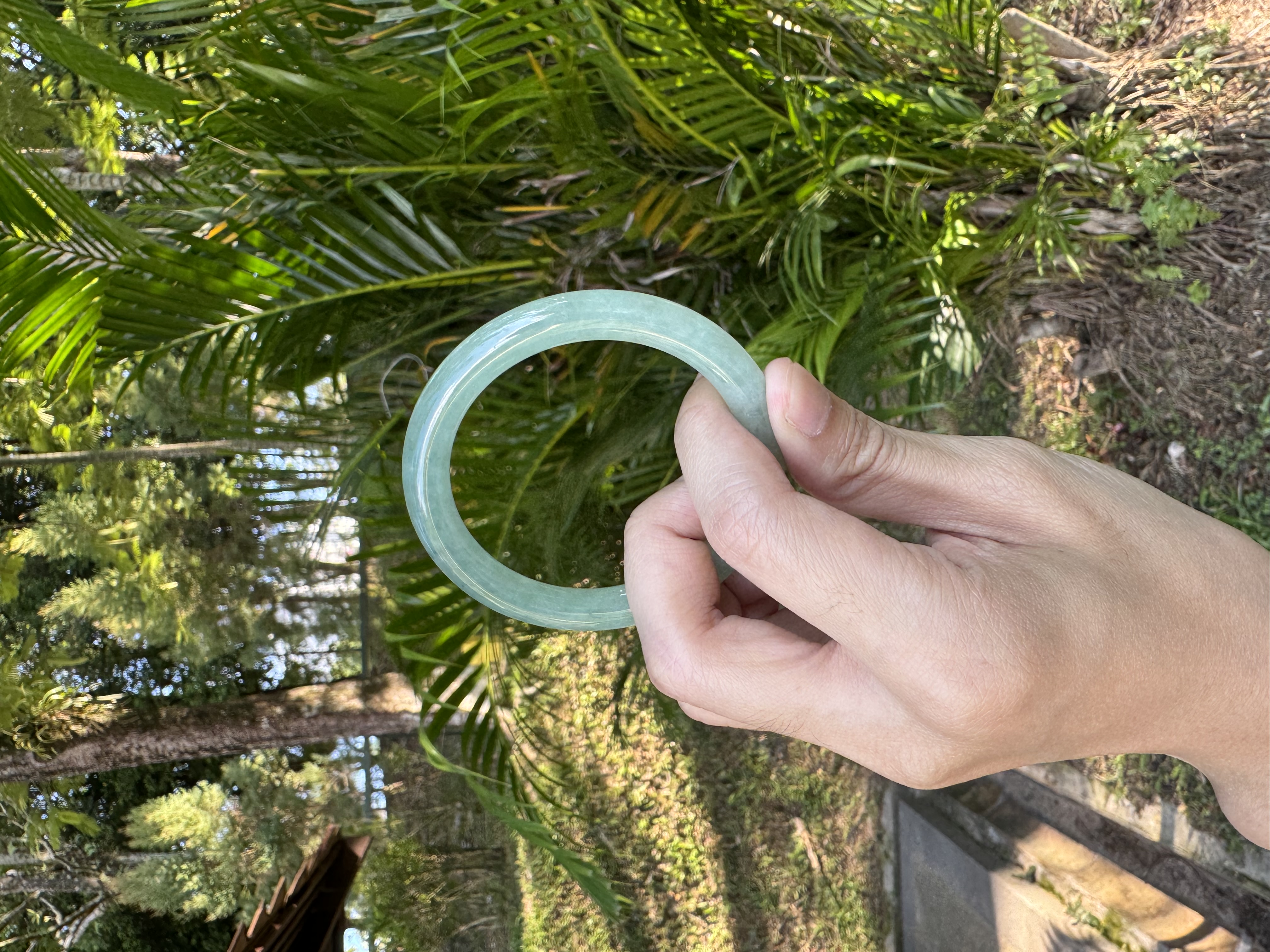 Icy Green Jadeite Bangle 51.5mm