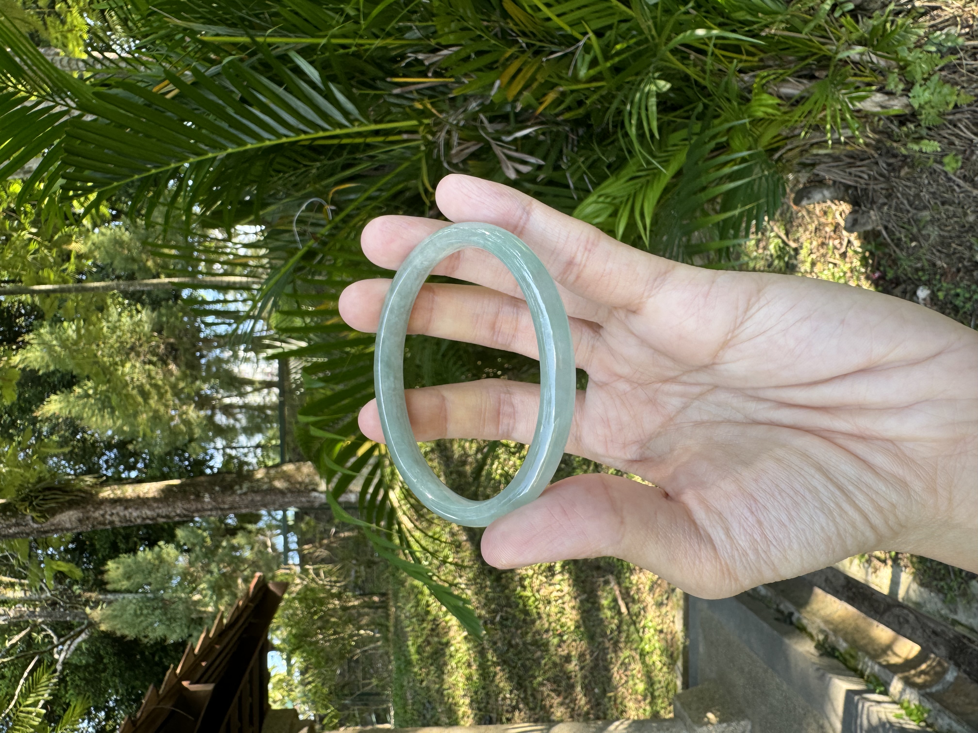 Sunny Green Oval Jadeite Bangle 57mm